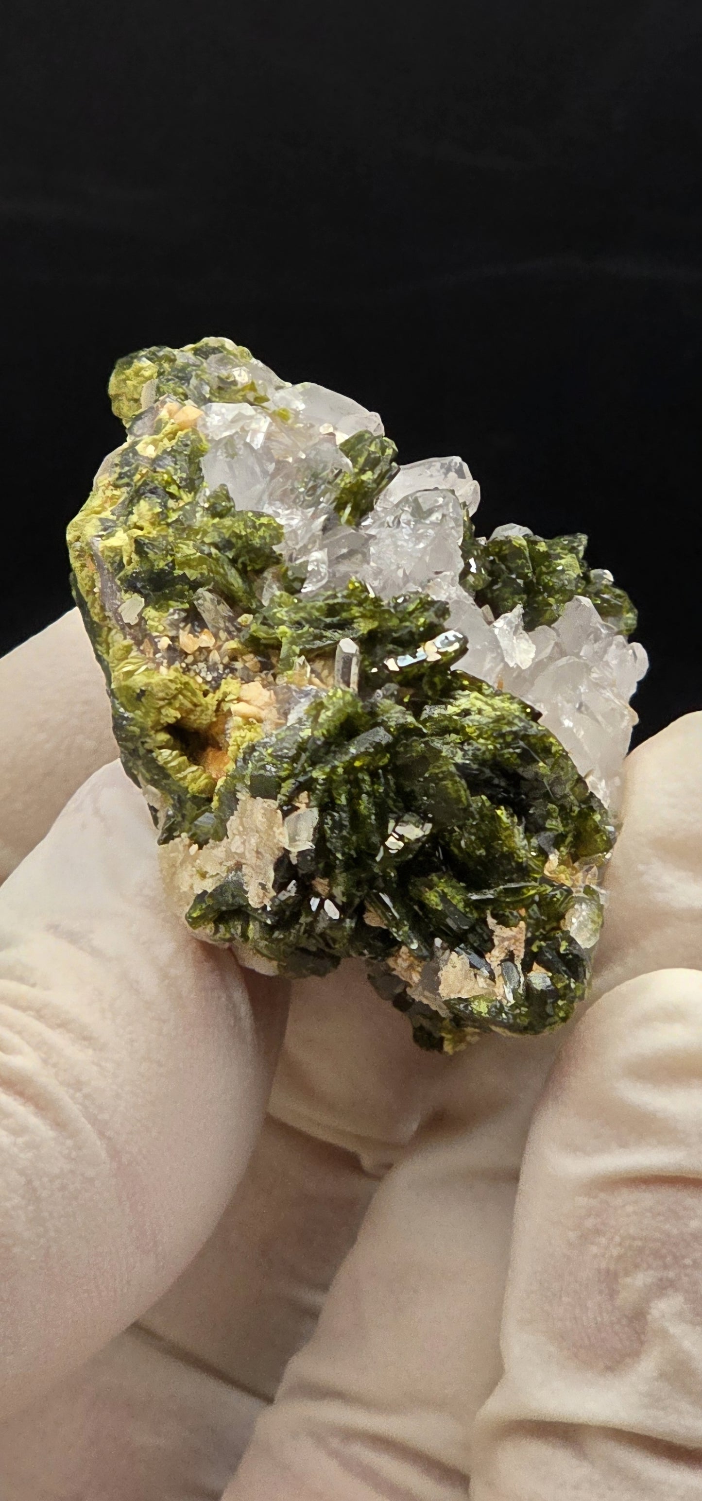 Brazilian Super Seven Quartz w/ Stunning Epidote Blades!