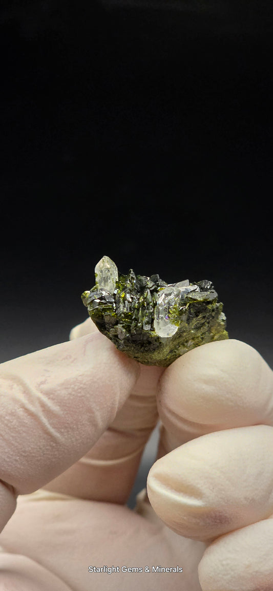 Brazilian S7 Quartz on Epidote Matrix Button!