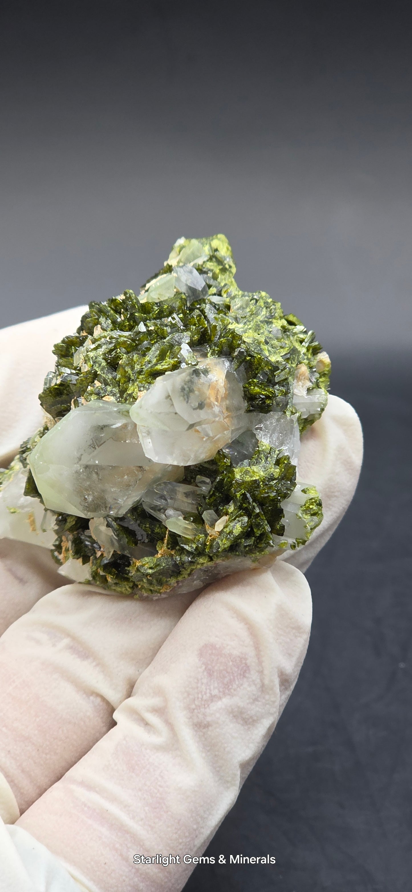 Brazilian Super Seven Quartz on Epidote Matrix!