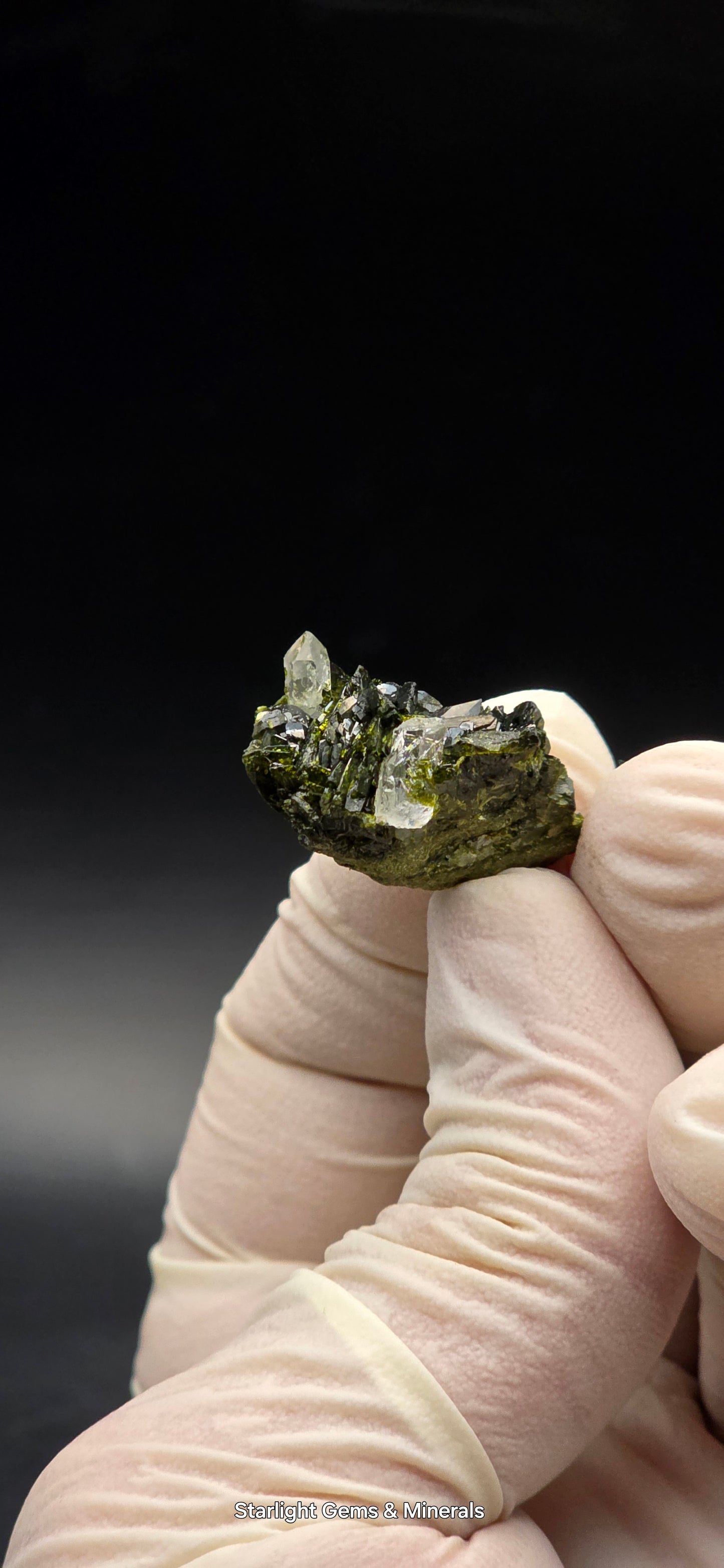 Brazilian S7 Quartz on Epidote Matrix Button!