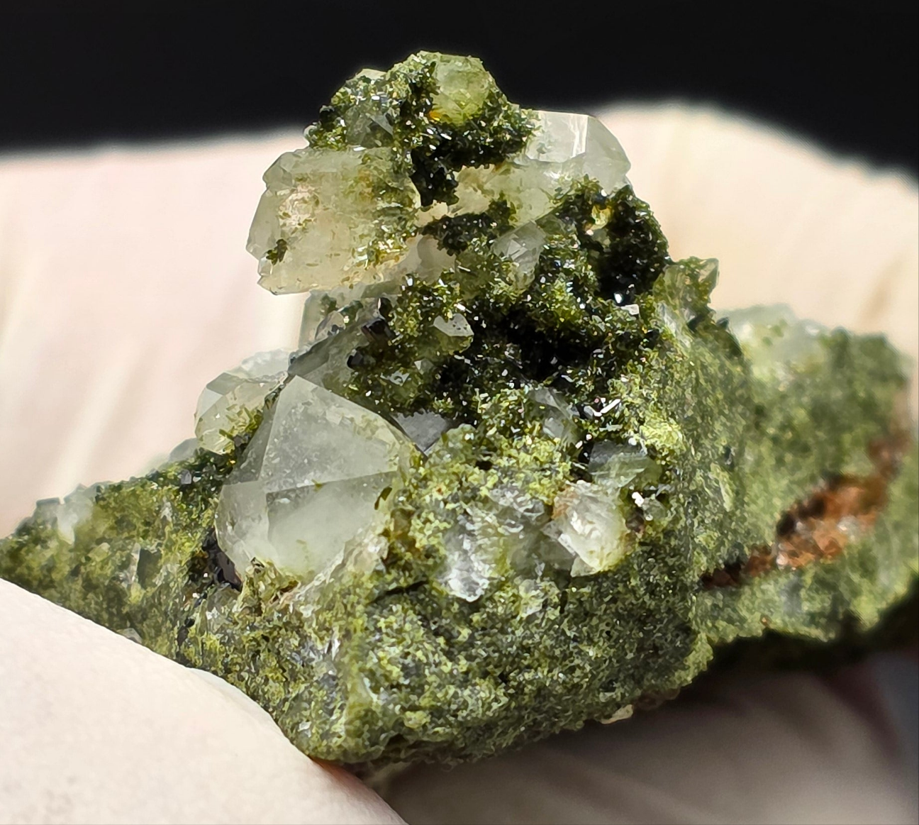 Breathtaking Coderite Quartz on Epidote Matrix!