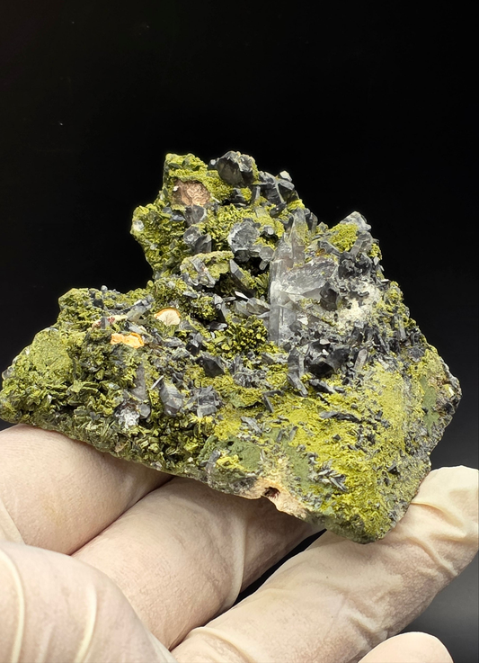 Epidote and Chlorite Included Brazilian Super Seven Quartz Matrix Forest!