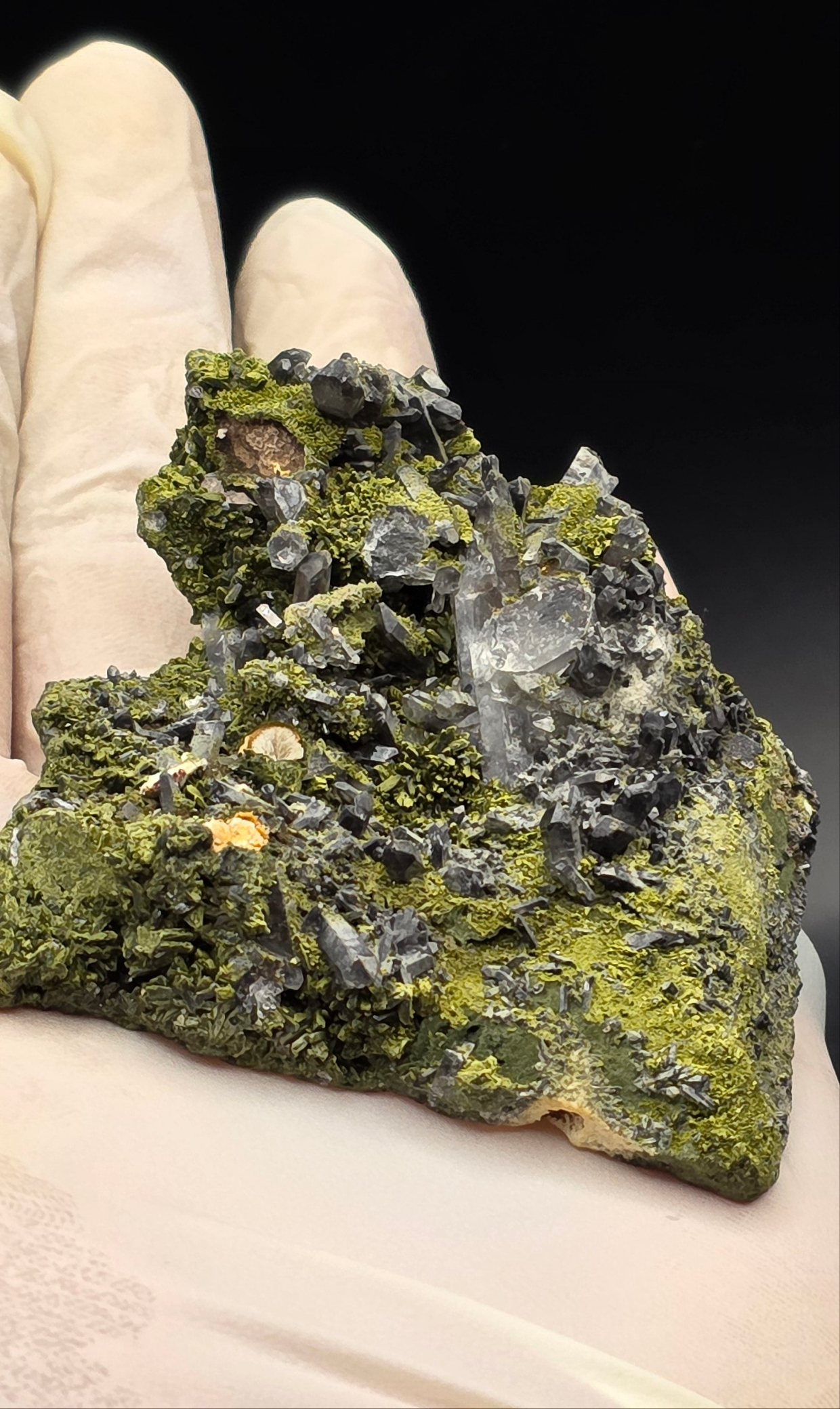 Epidote and Chlorite Included Brazilian Super Seven Quartz Matrix Forest!