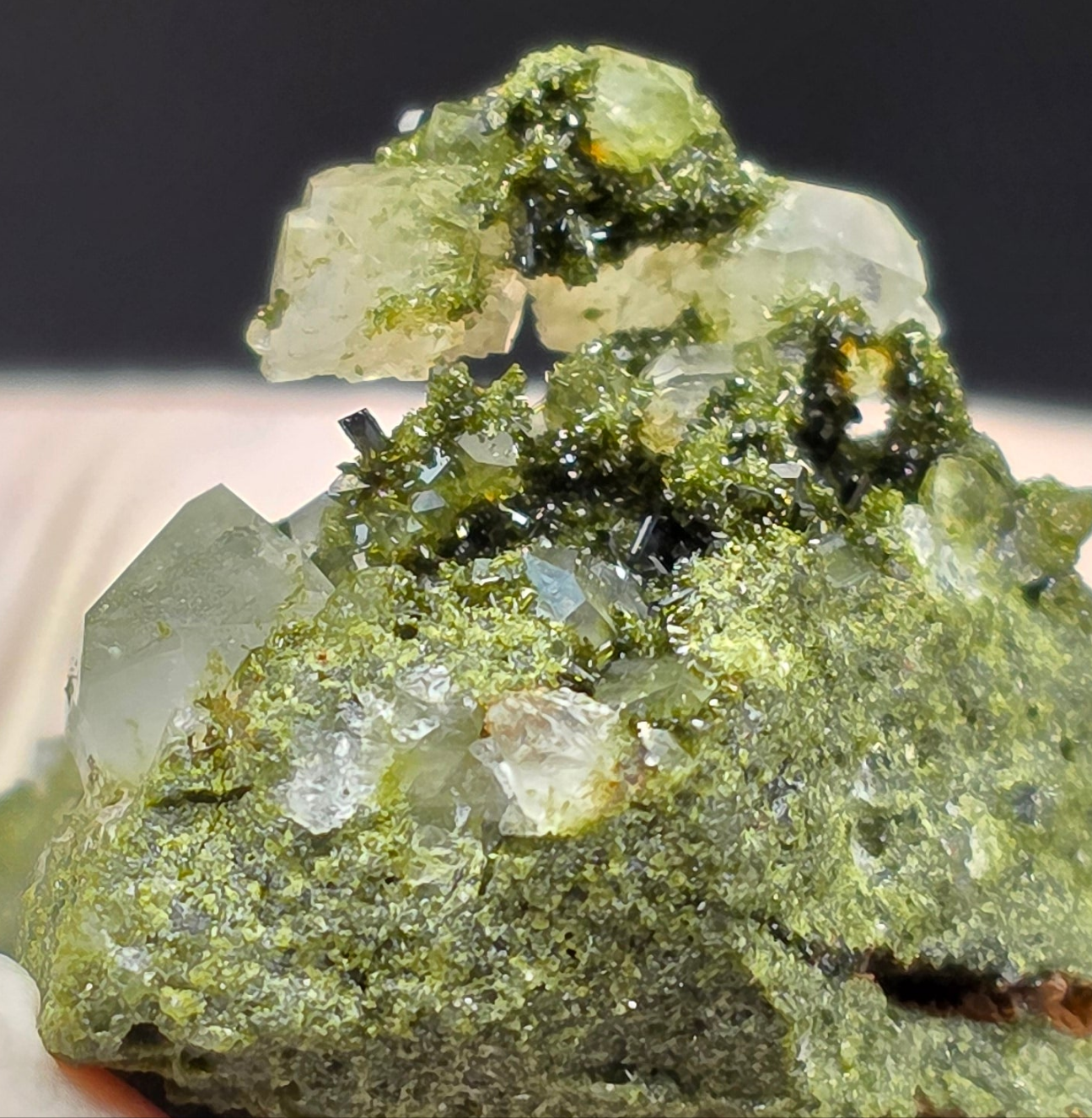 Breathtaking Coderite Quartz on Epidote Matrix!
