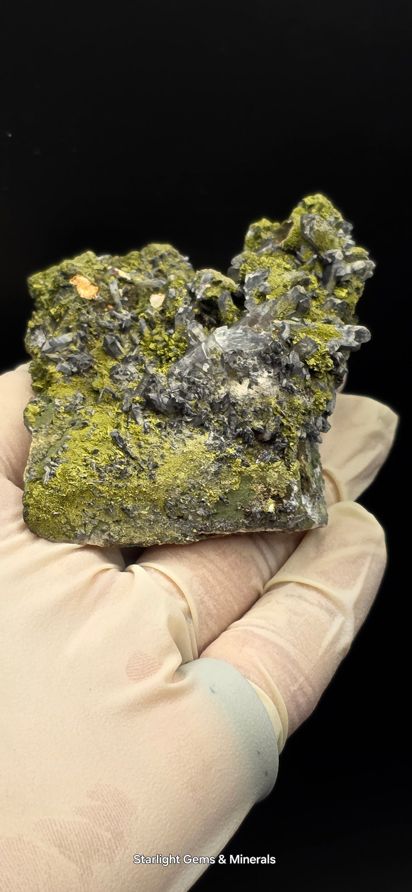 Epidote and Chlorite Included Brazilian Super Seven Quartz Matrix Forest!