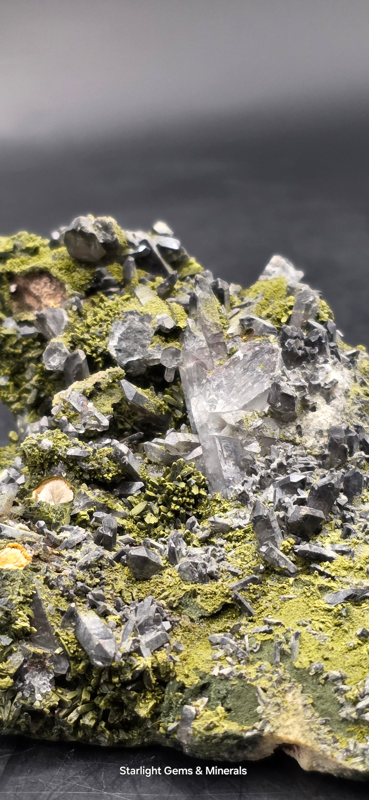 Epidote and Chlorite Included Brazilian Super Seven Quartz Matrix Forest!