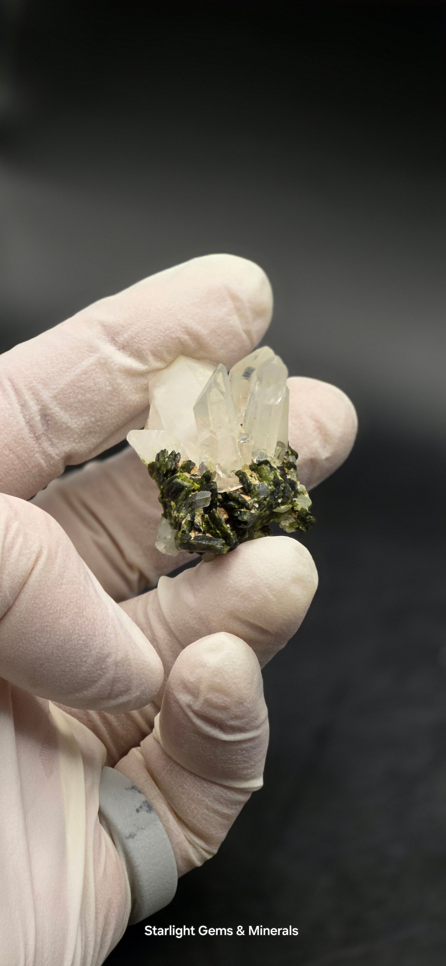 Brazilian S7 Quartz & Epidote Bloom, w/ Sprites!