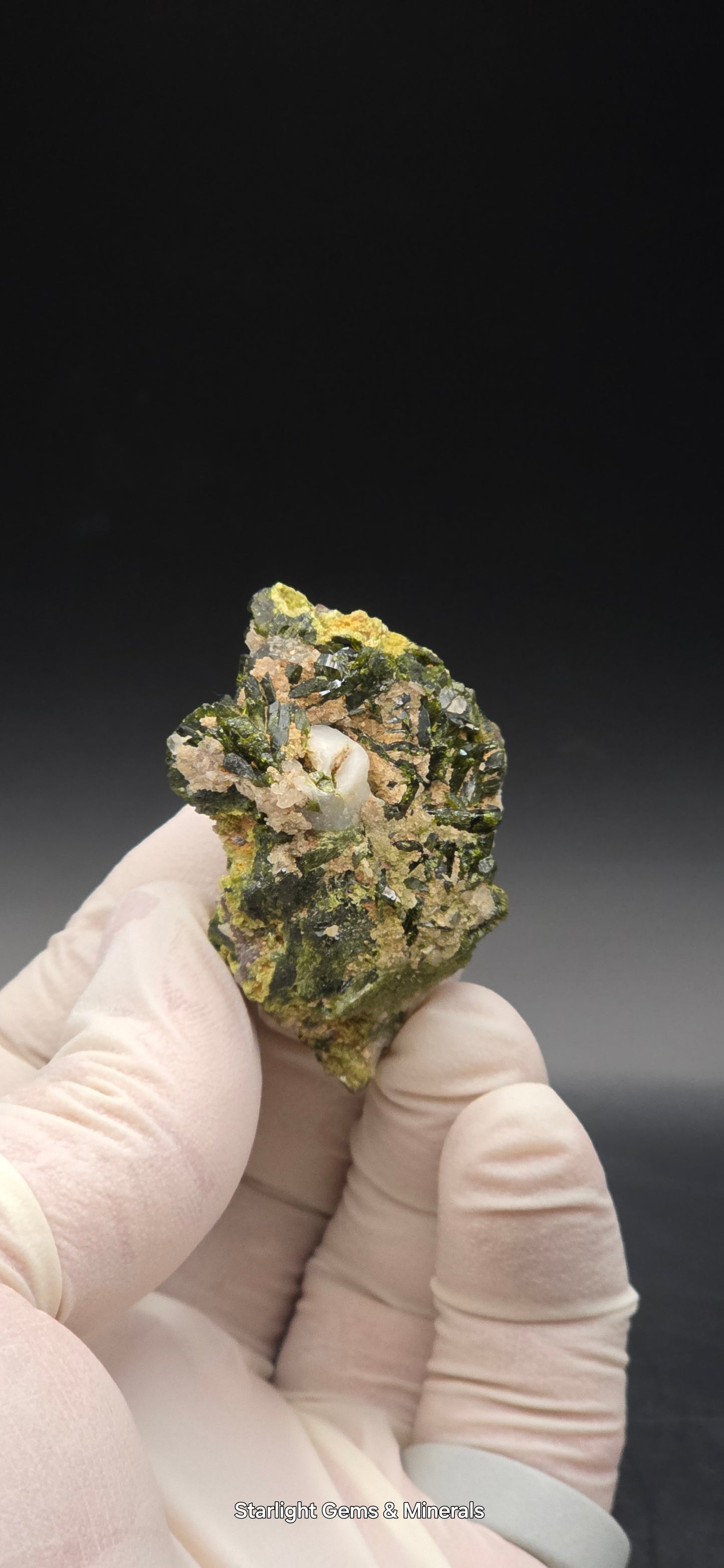 Brazilian Super Seven Quartz w/ Stunning Epidote Blades!