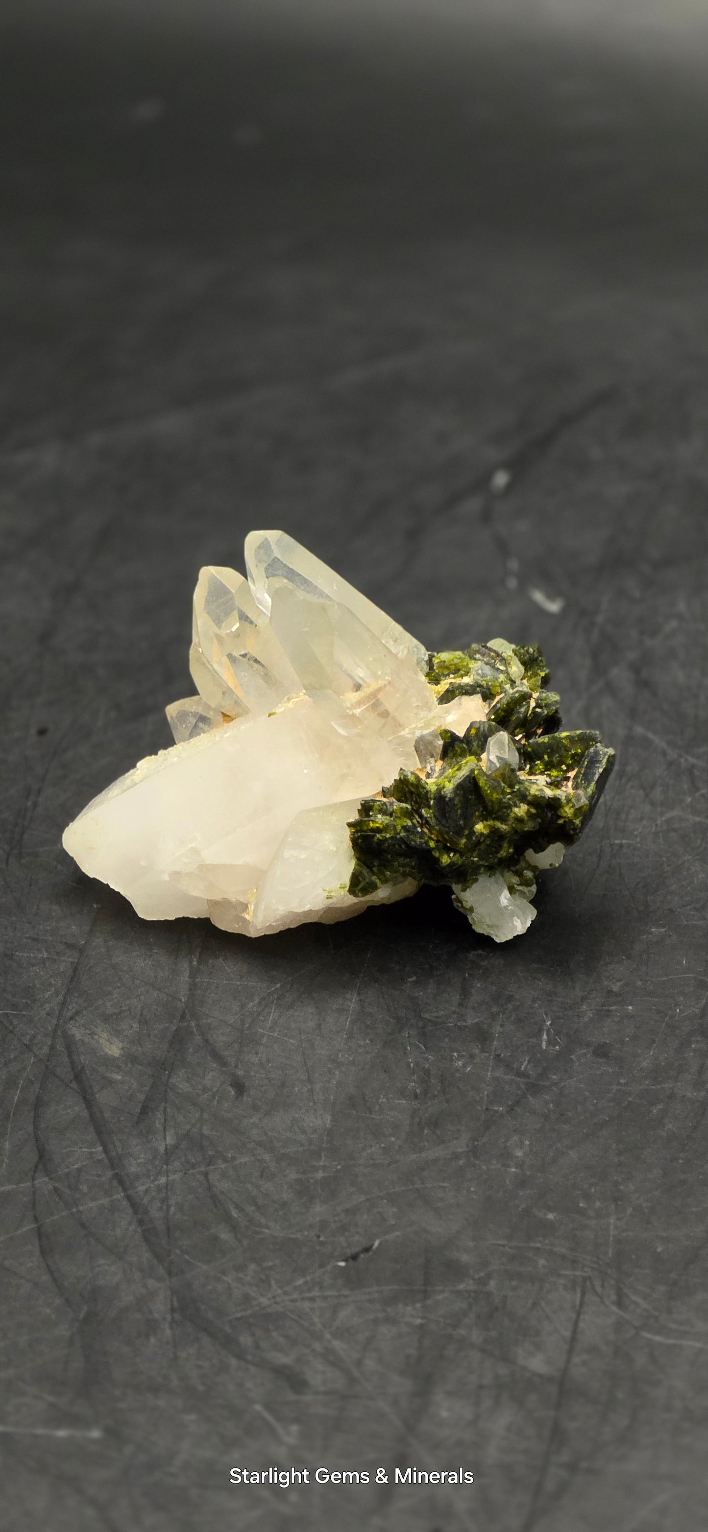Brazilian S7 Quartz & Epidote Bloom, w/ Sprites!