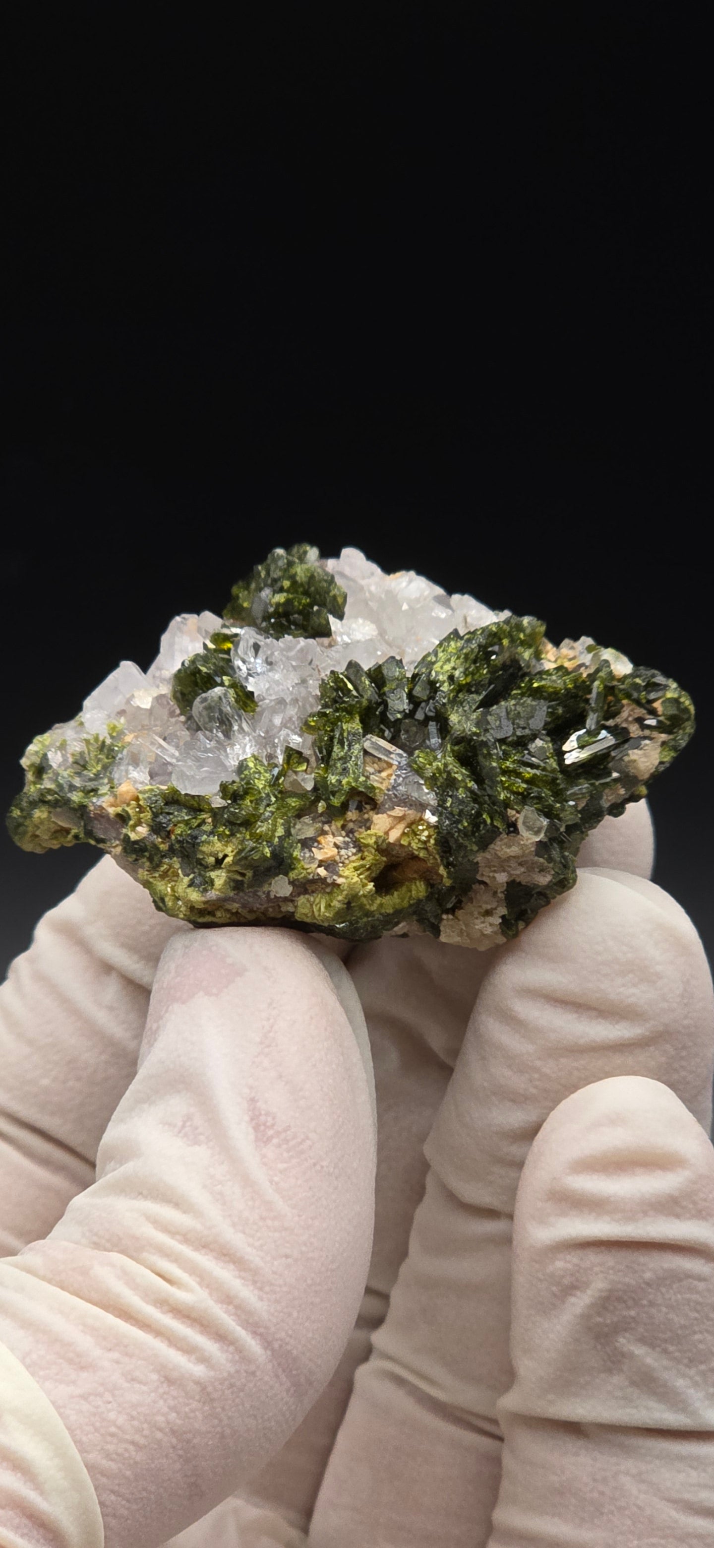 Brazilian Super Seven Quartz w/ Stunning Epidote Blades!