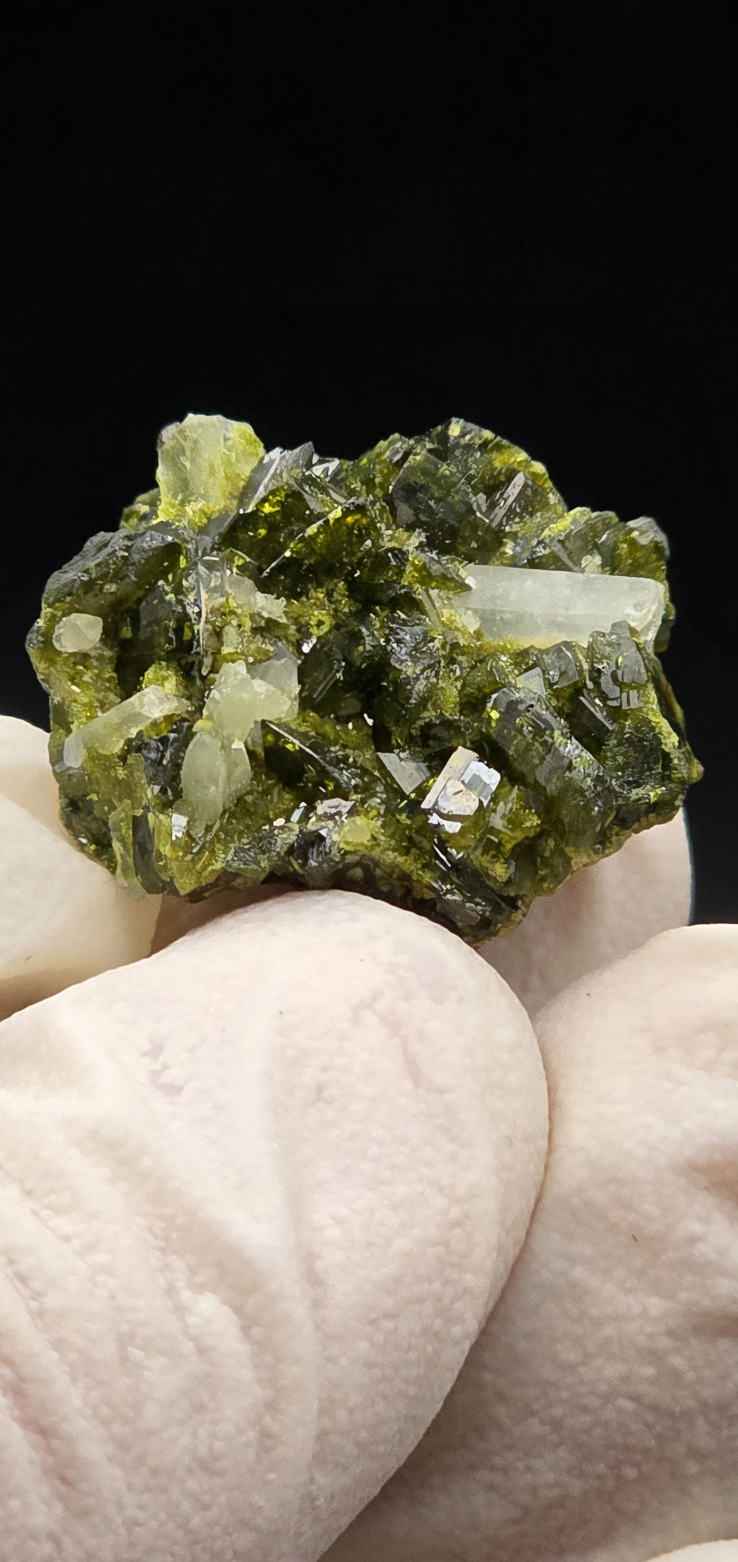 Mini Brazilian S7 Quartz on Epidote Matrix, Button!