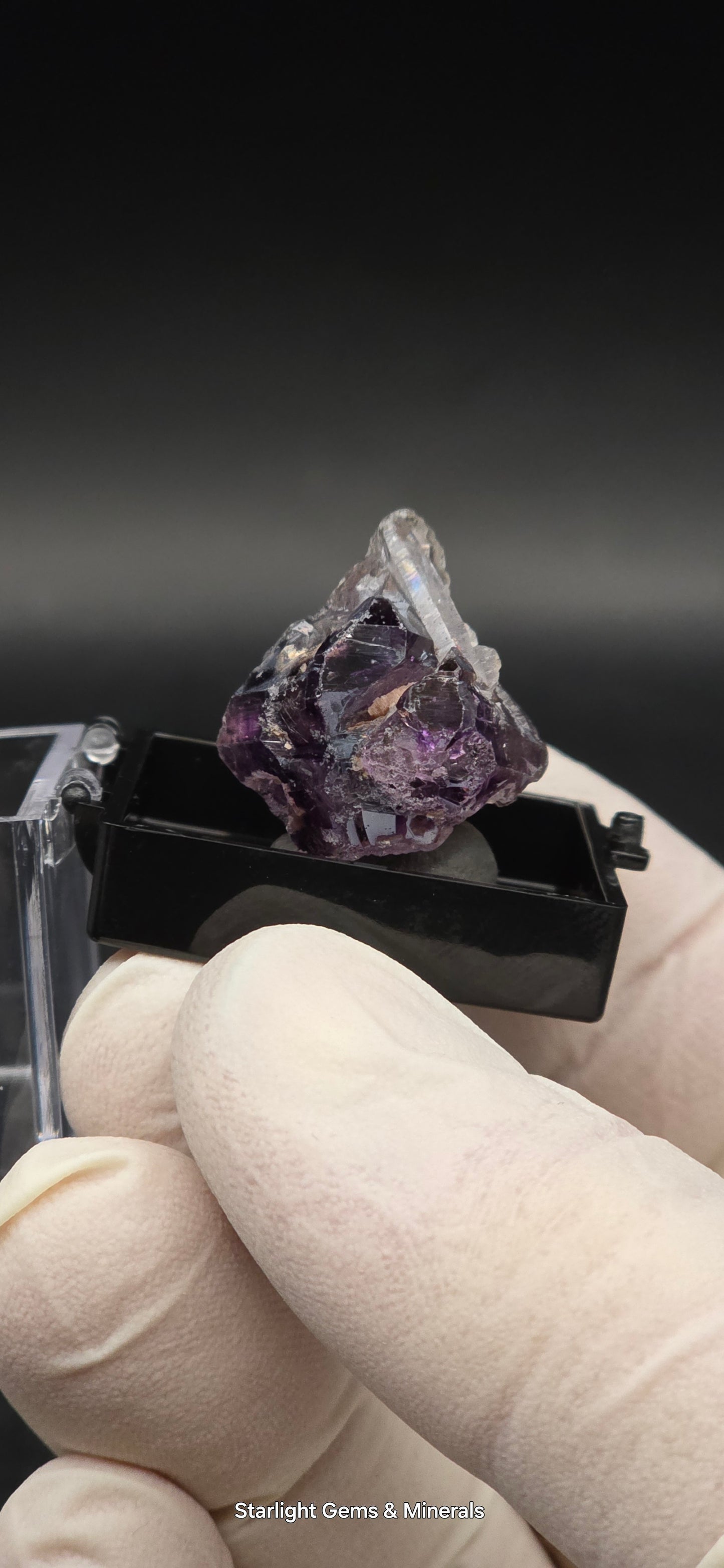 DT Prism Quartz on Shangaan Enhydro Phantom Amethyst Zimbabwe
