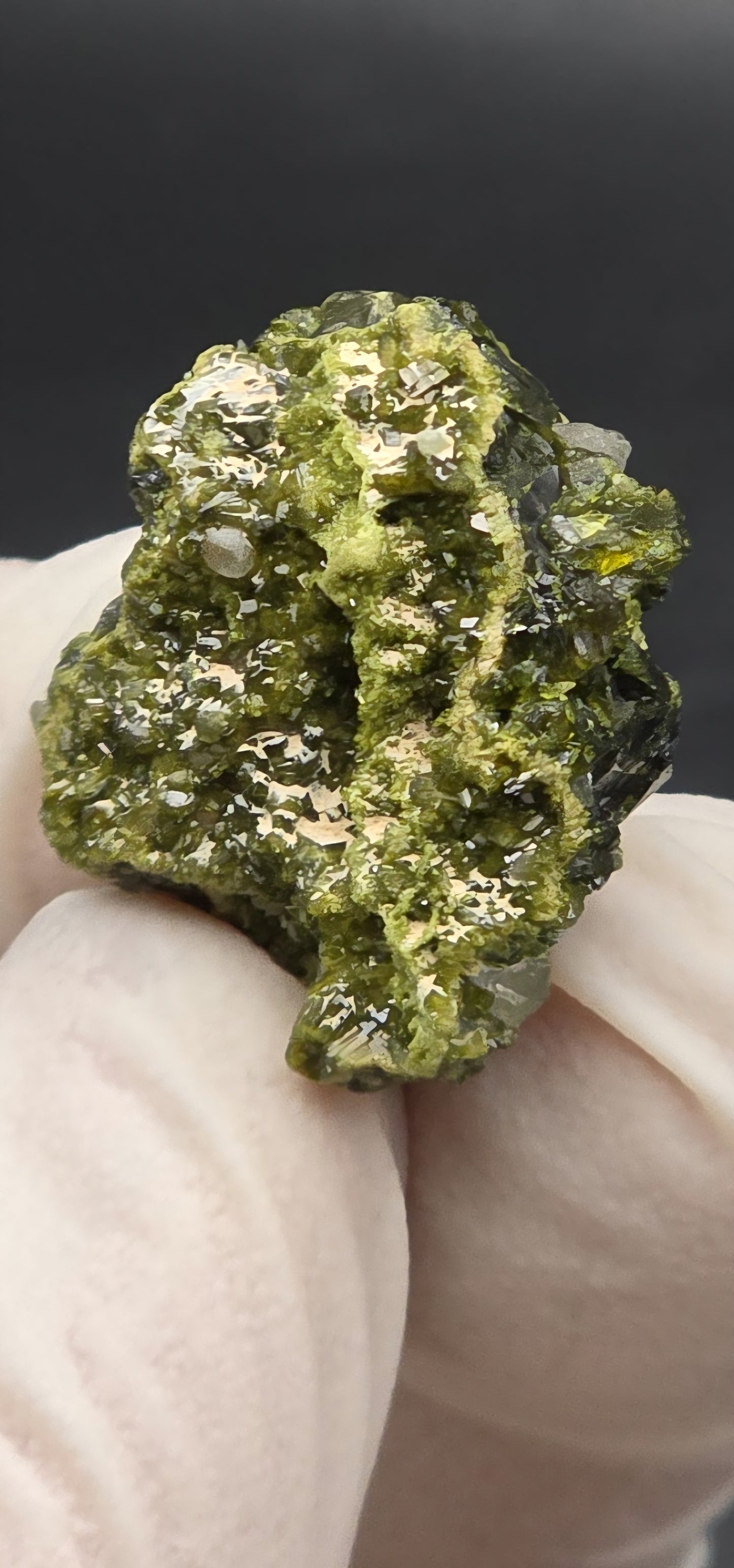 Mini Brazilian S7 Quartz on Epidote Matrix, Button!