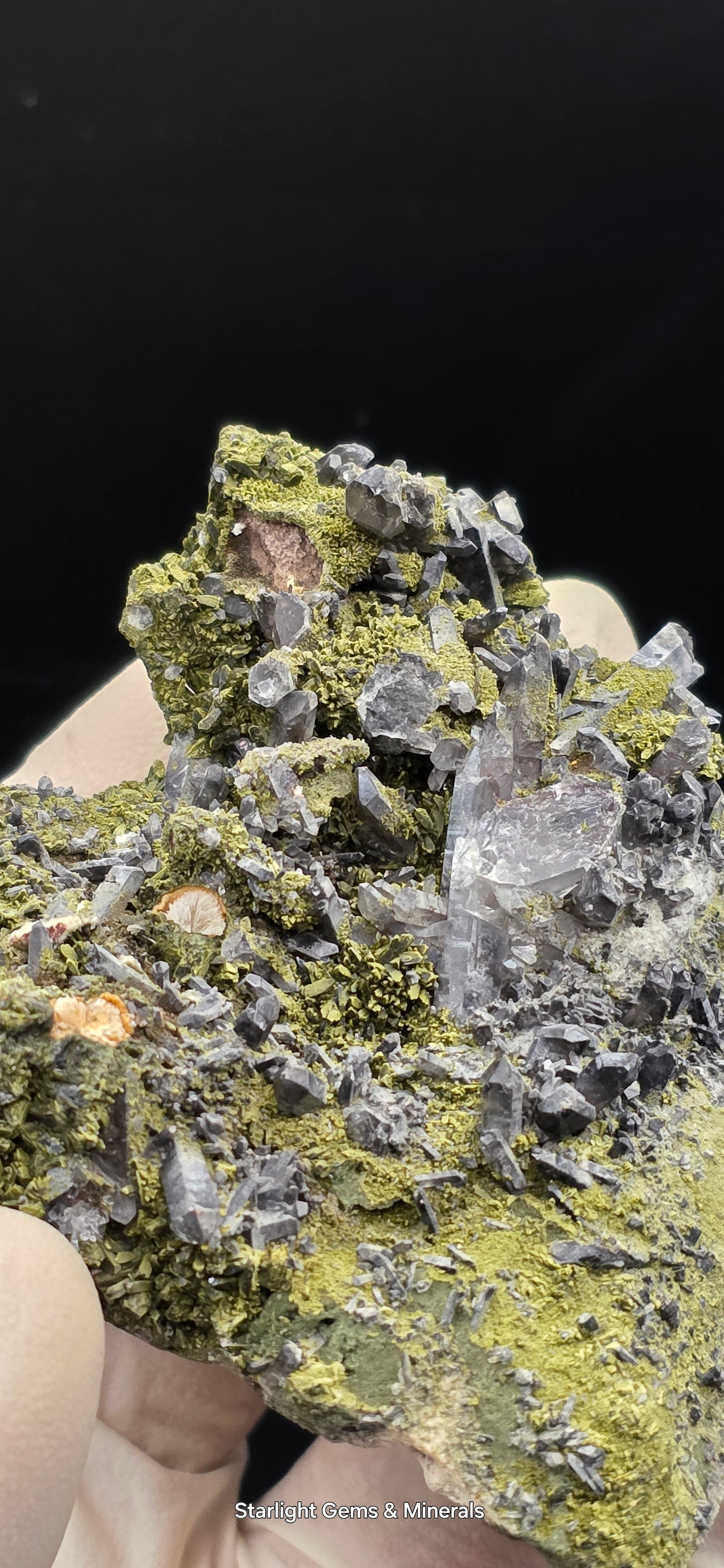 Epidote and Chlorite Included Brazilian Super Seven Quartz Matrix Forest!