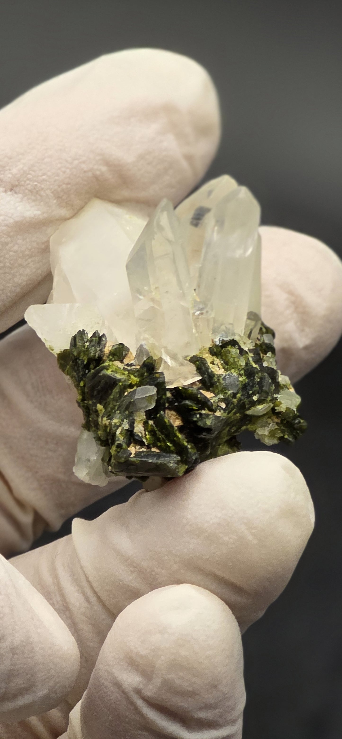 Brazilian S7 Quartz & Epidote Bloom, w/ Sprites!