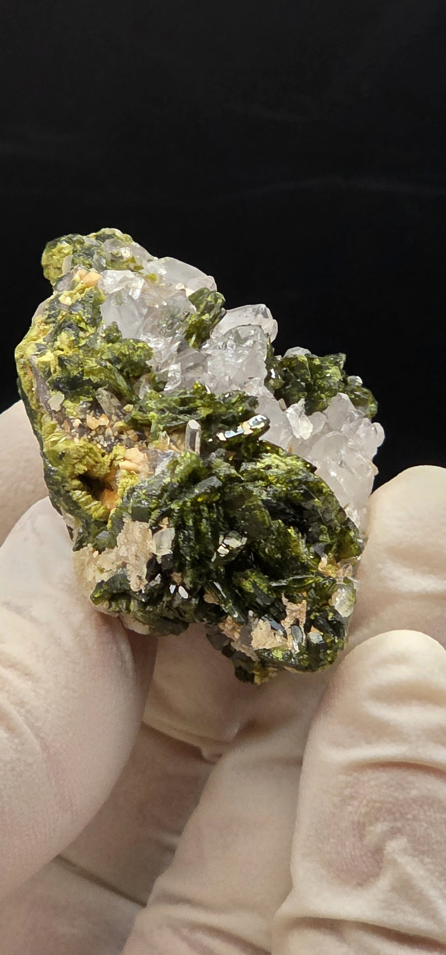 Brazilian Super Seven Quartz w/ Stunning Epidote Blades!