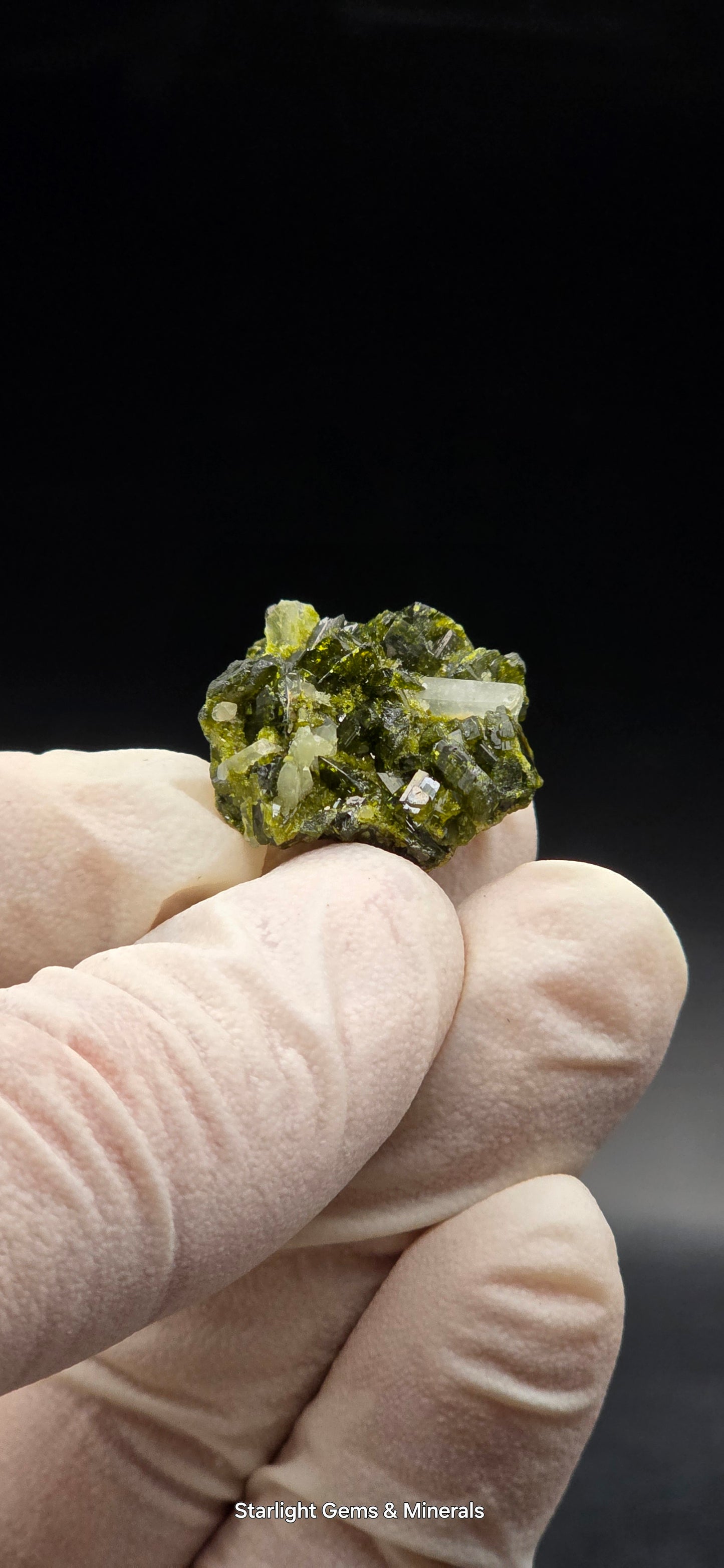 Mini Brazilian S7 Quartz on Epidote Matrix, Button!