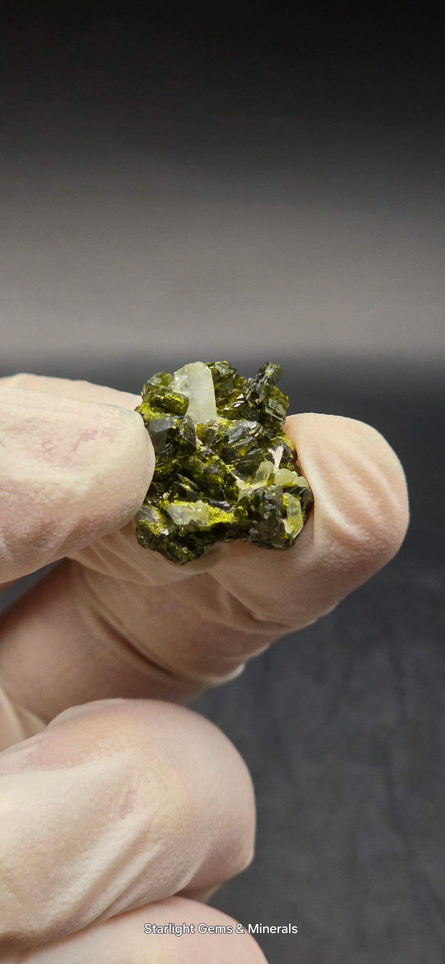 Mini Brazilian S7 Quartz on Epidote Matrix, Button!