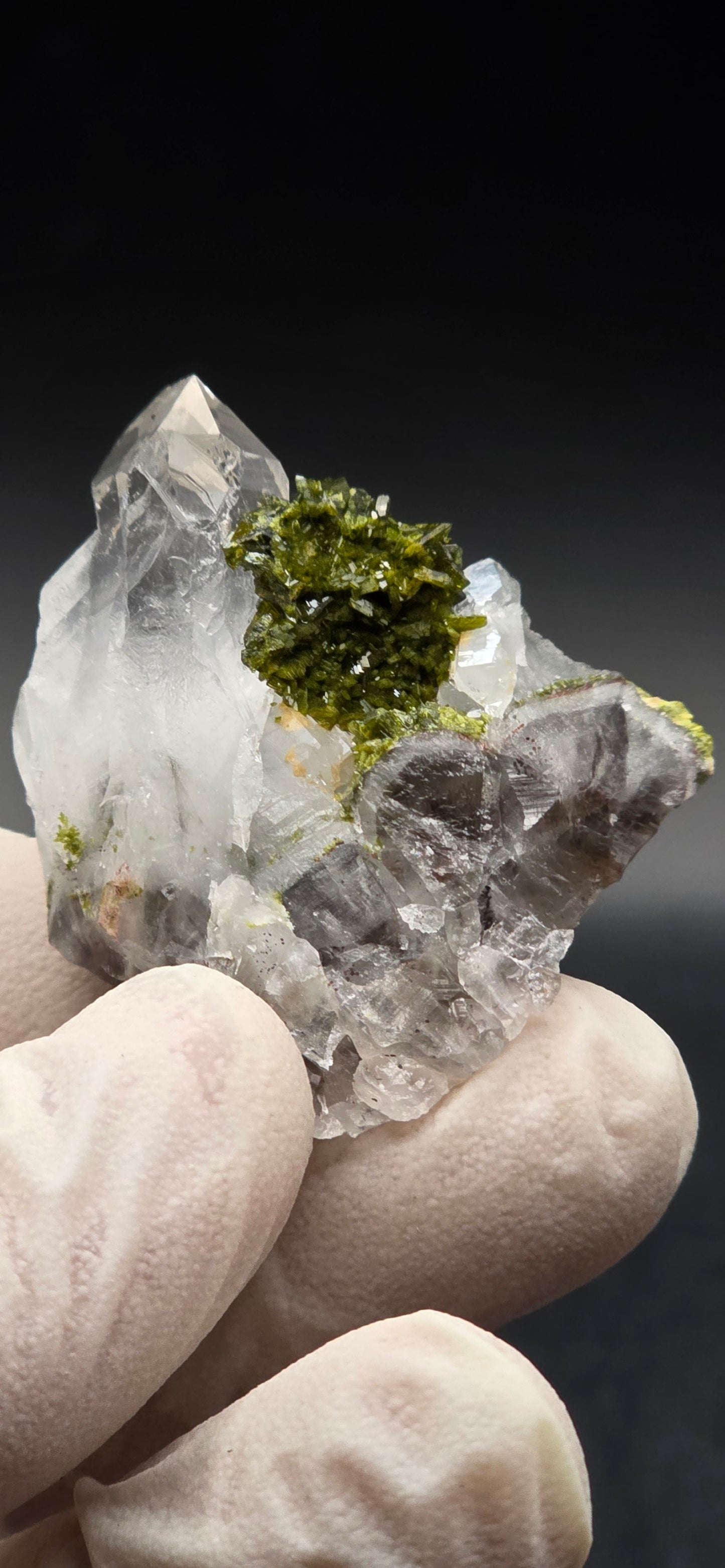 Brazilian Epidote Bloom on Key S7 Phantom Quartz Matrix!!