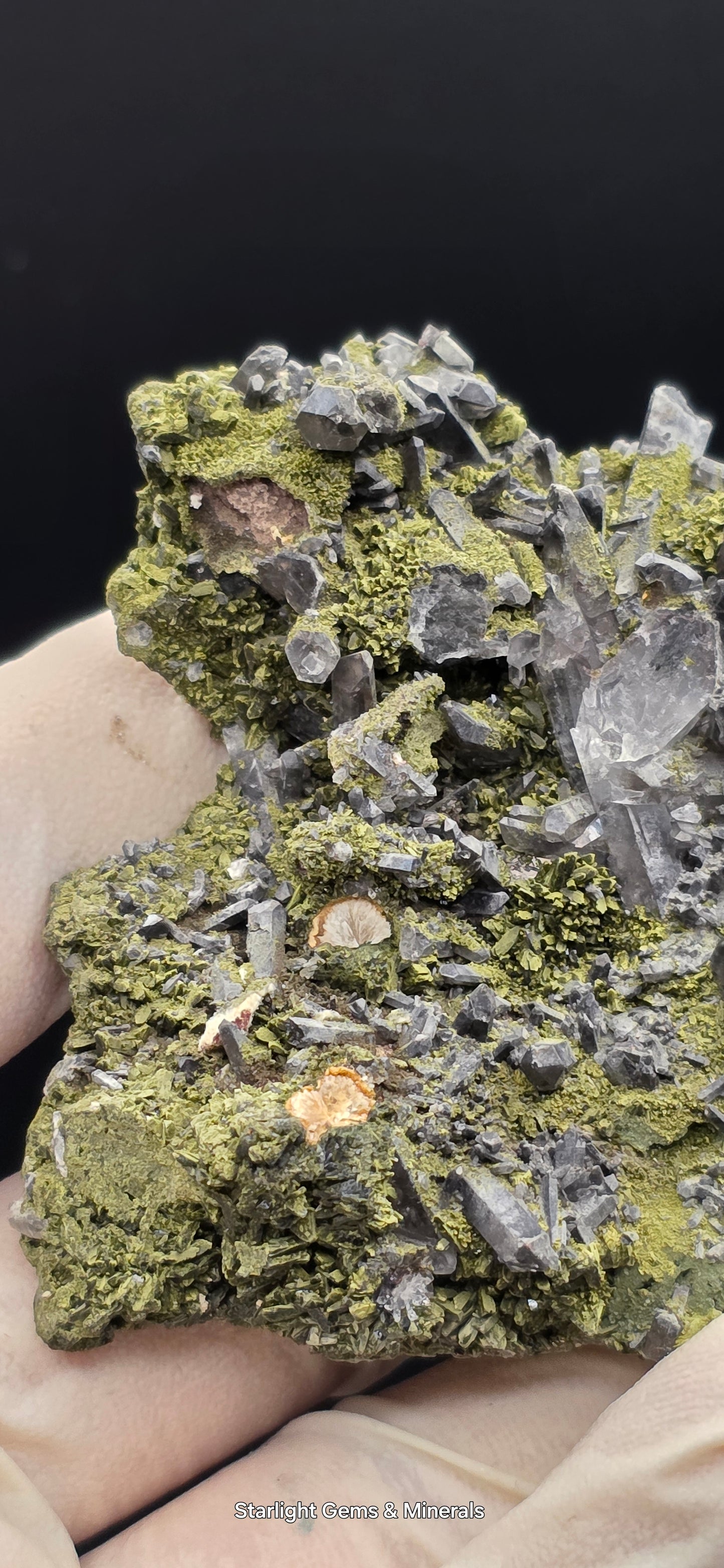 Epidote and Chlorite Included Brazilian Super Seven Quartz Matrix Forest!