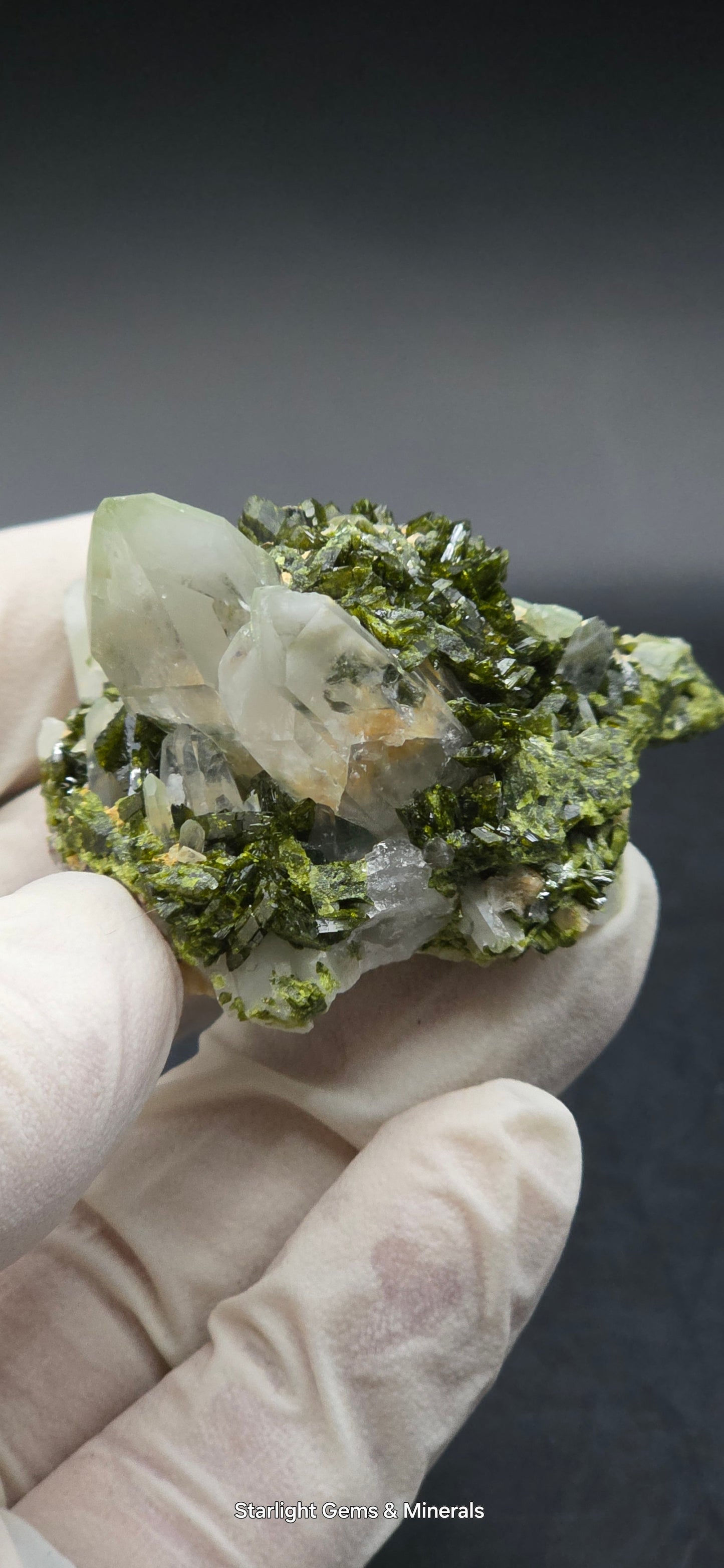 Brazilian Super Seven Quartz on Epidote Matrix!