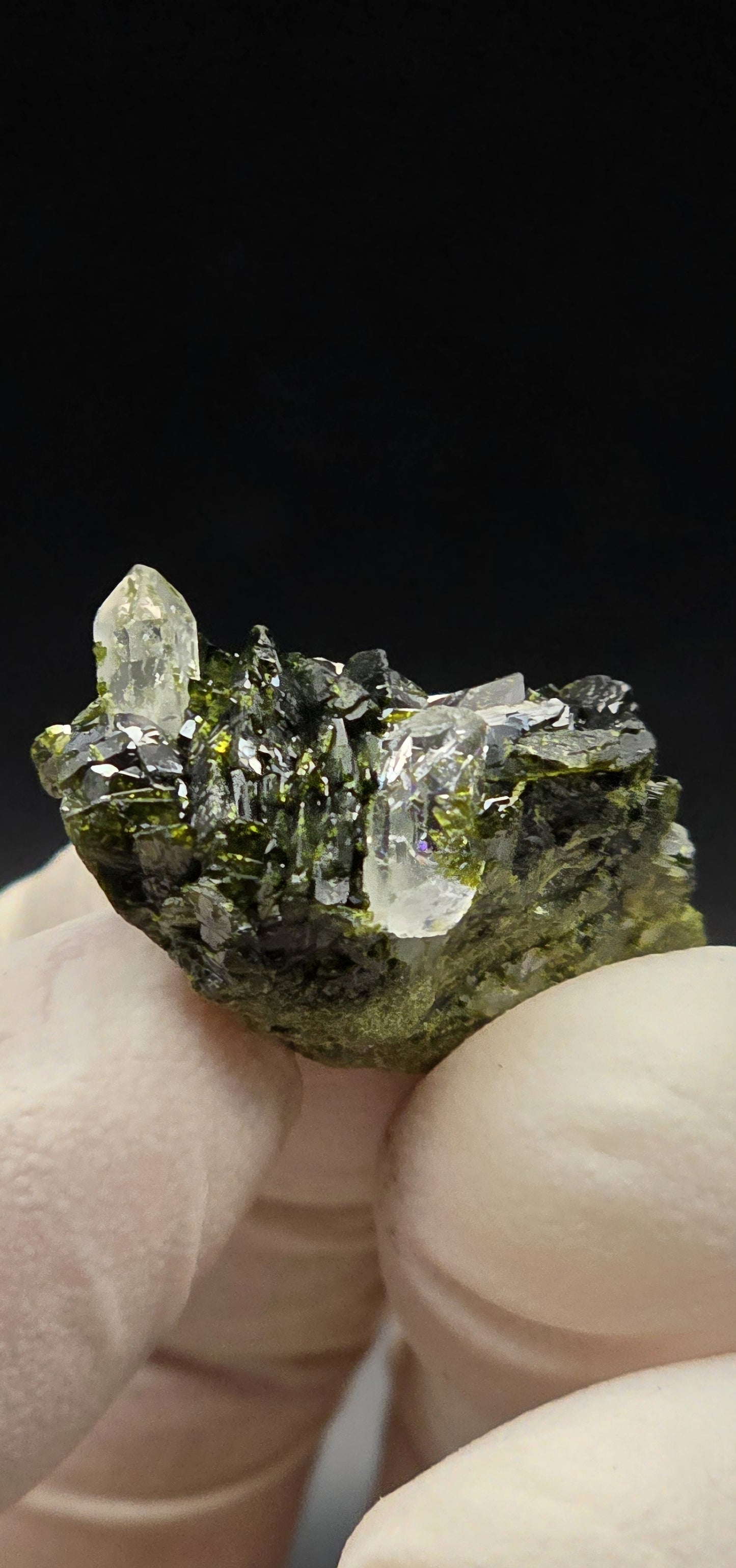 Brazilian S7 Quartz on Epidote Matrix Button!