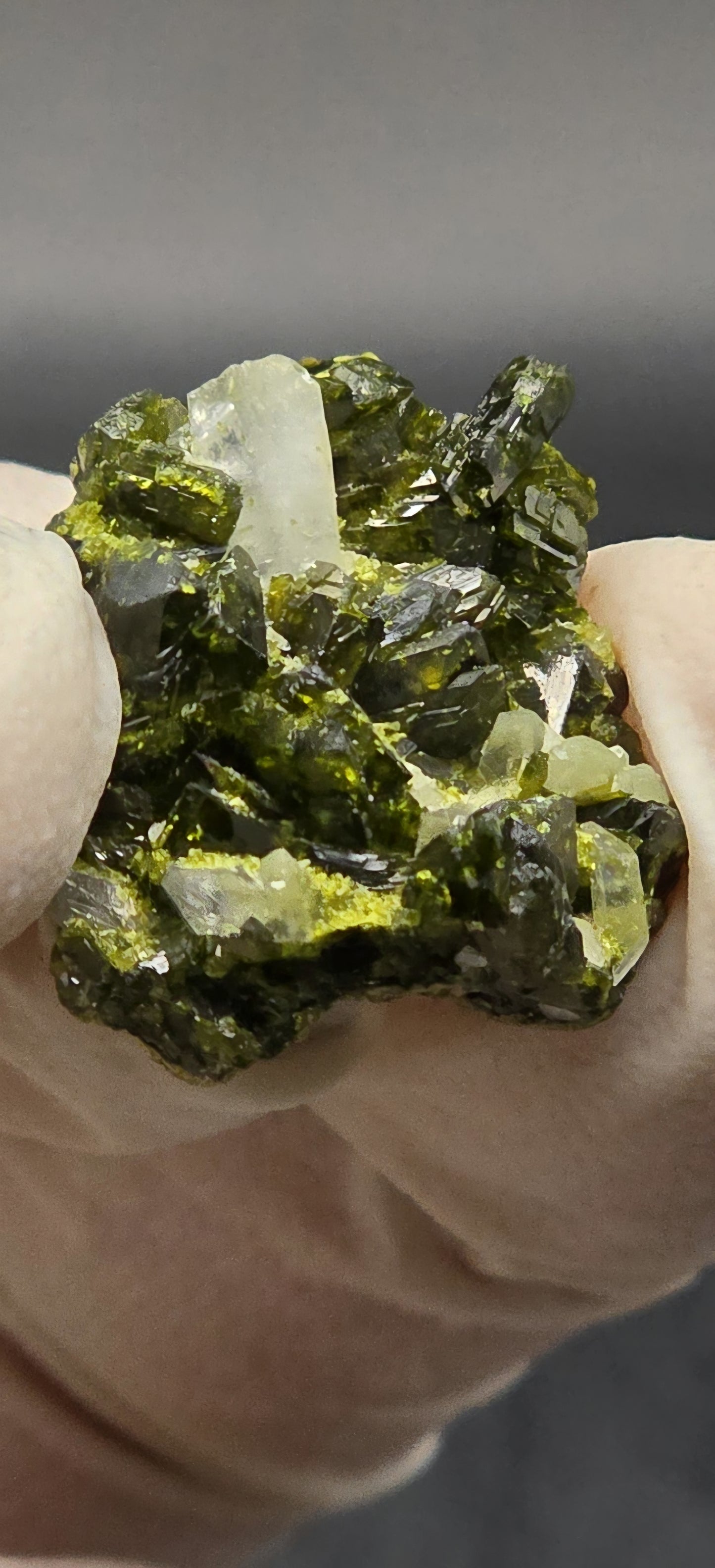 Mini Brazilian S7 Quartz on Epidote Matrix, Button!