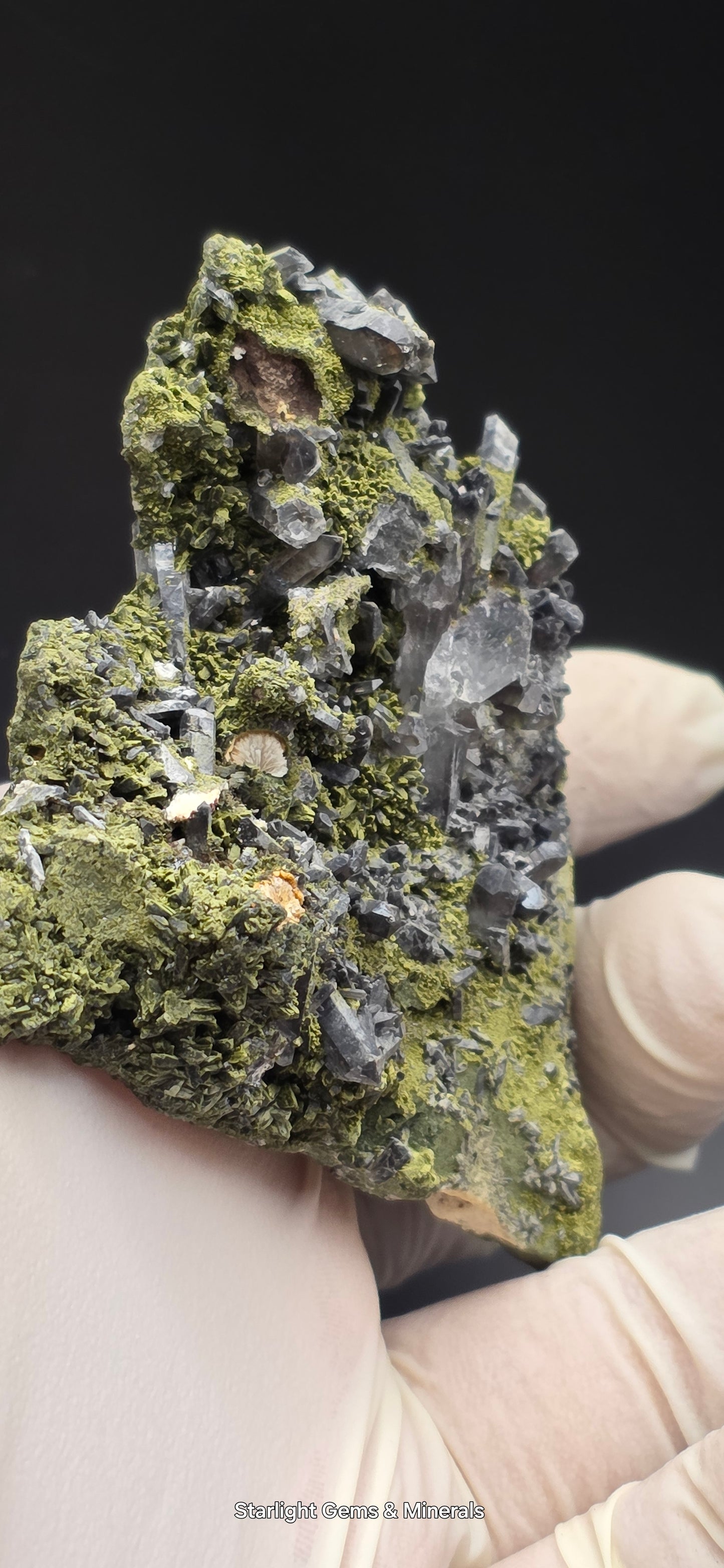 Epidote and Chlorite Included Brazilian Super Seven Quartz Matrix Forest!