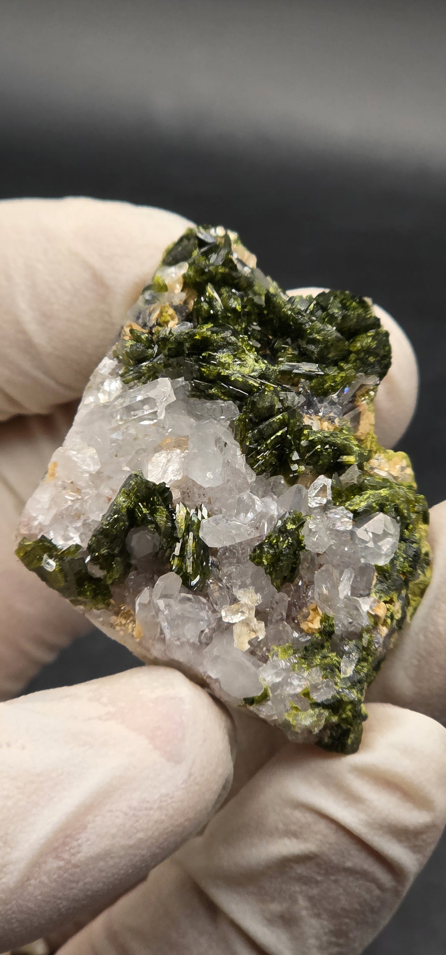 Brazilian Super Seven Quartz w/ Stunning Epidote Blades!