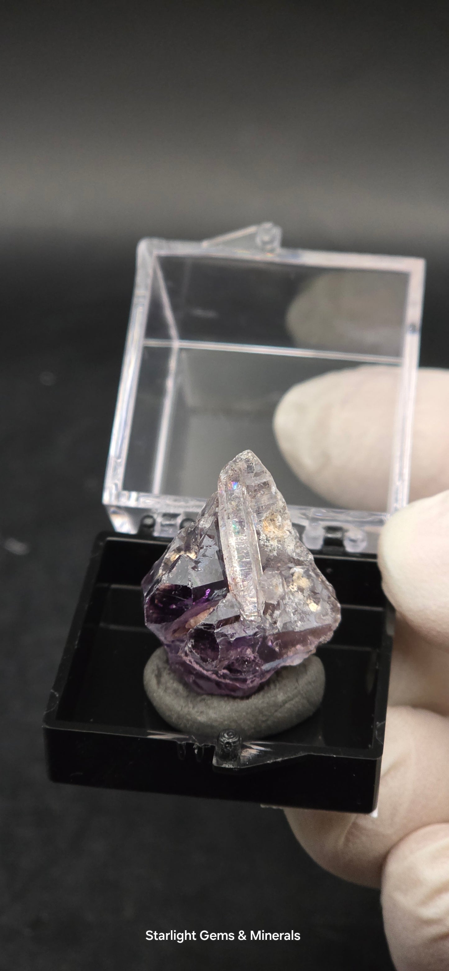 DT Prism Quartz on Shangaan Enhydro Phantom Amethyst Zimbabwe