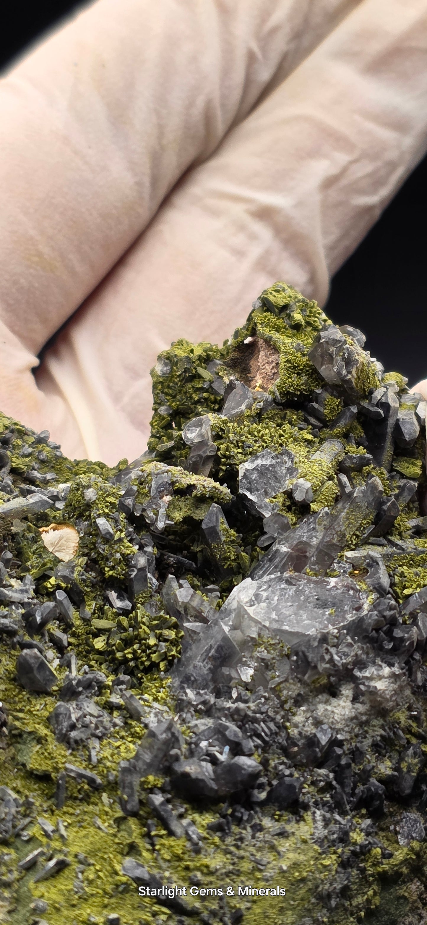 Epidote and Chlorite Included Brazilian Super Seven Quartz Matrix Forest!