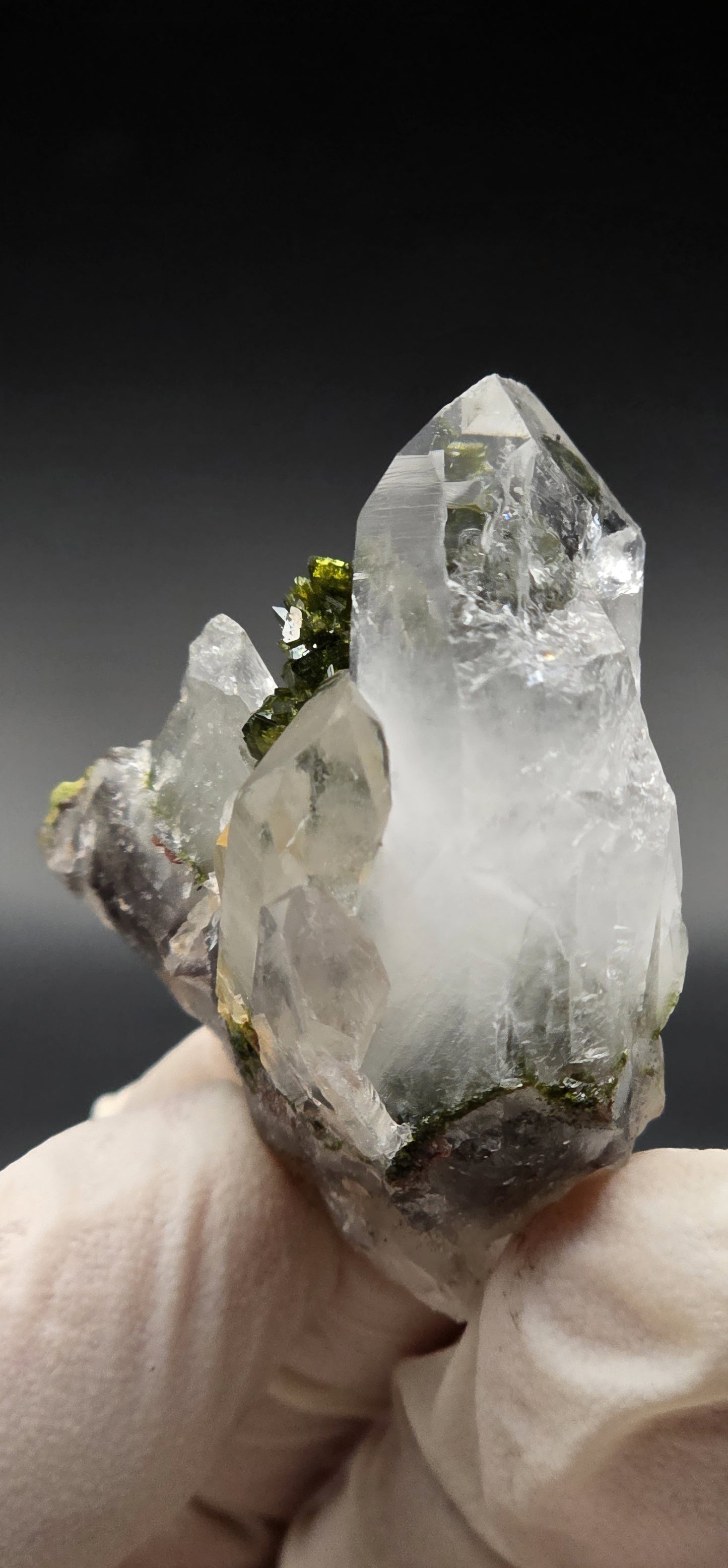 Brazilian Epidote Bloom on Key S7 Phantom Quartz Matrix!!