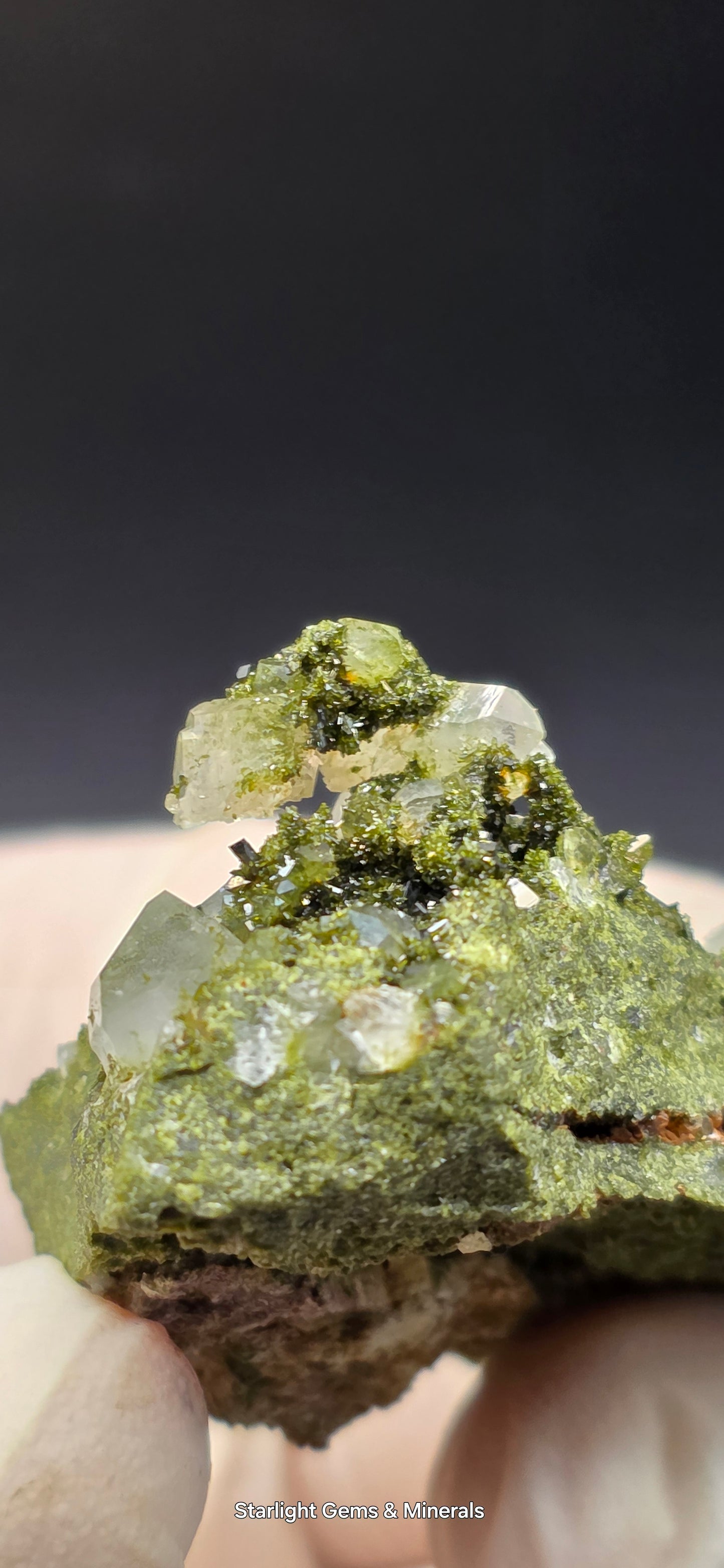 Breathtaking Coderite Quartz on Epidote Matrix!