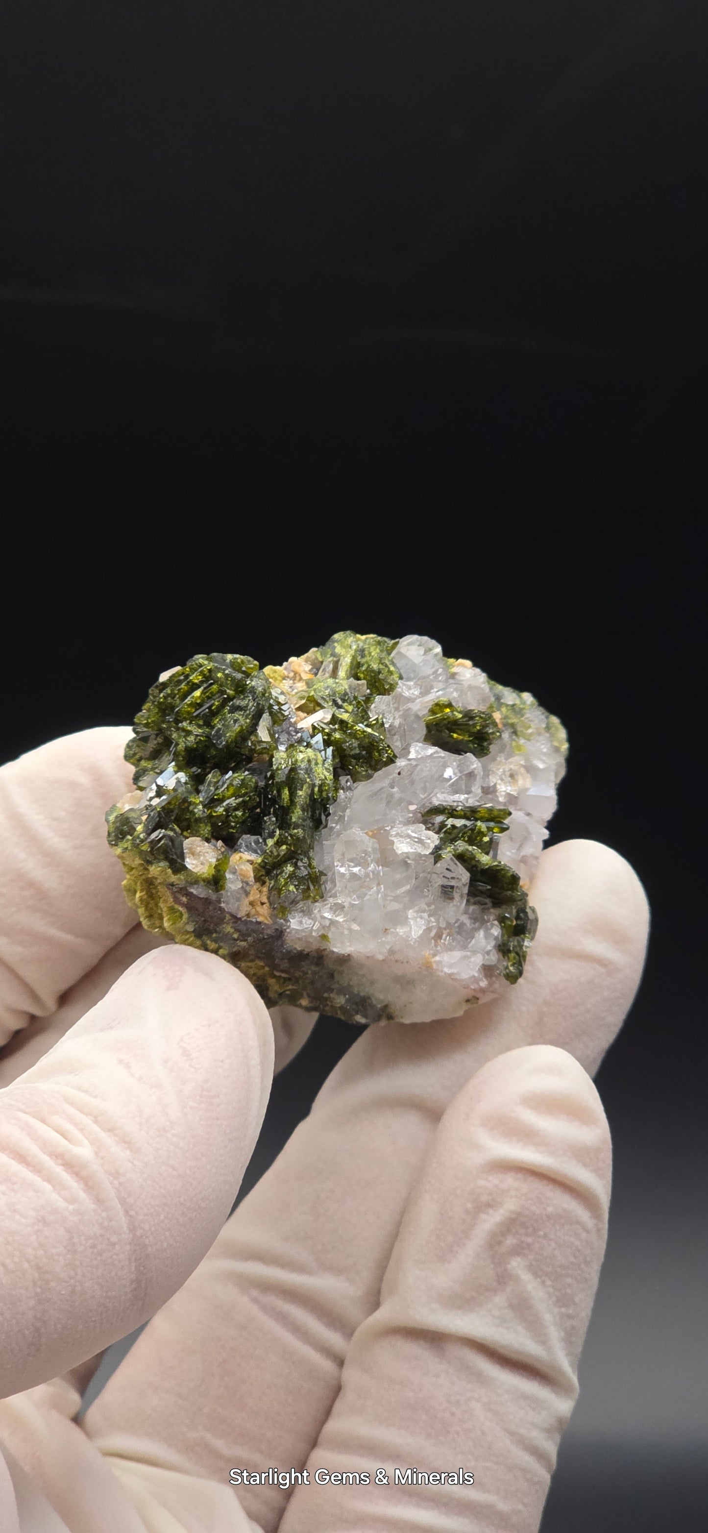 Brazilian Super Seven Quartz w/ Stunning Epidote Blades!