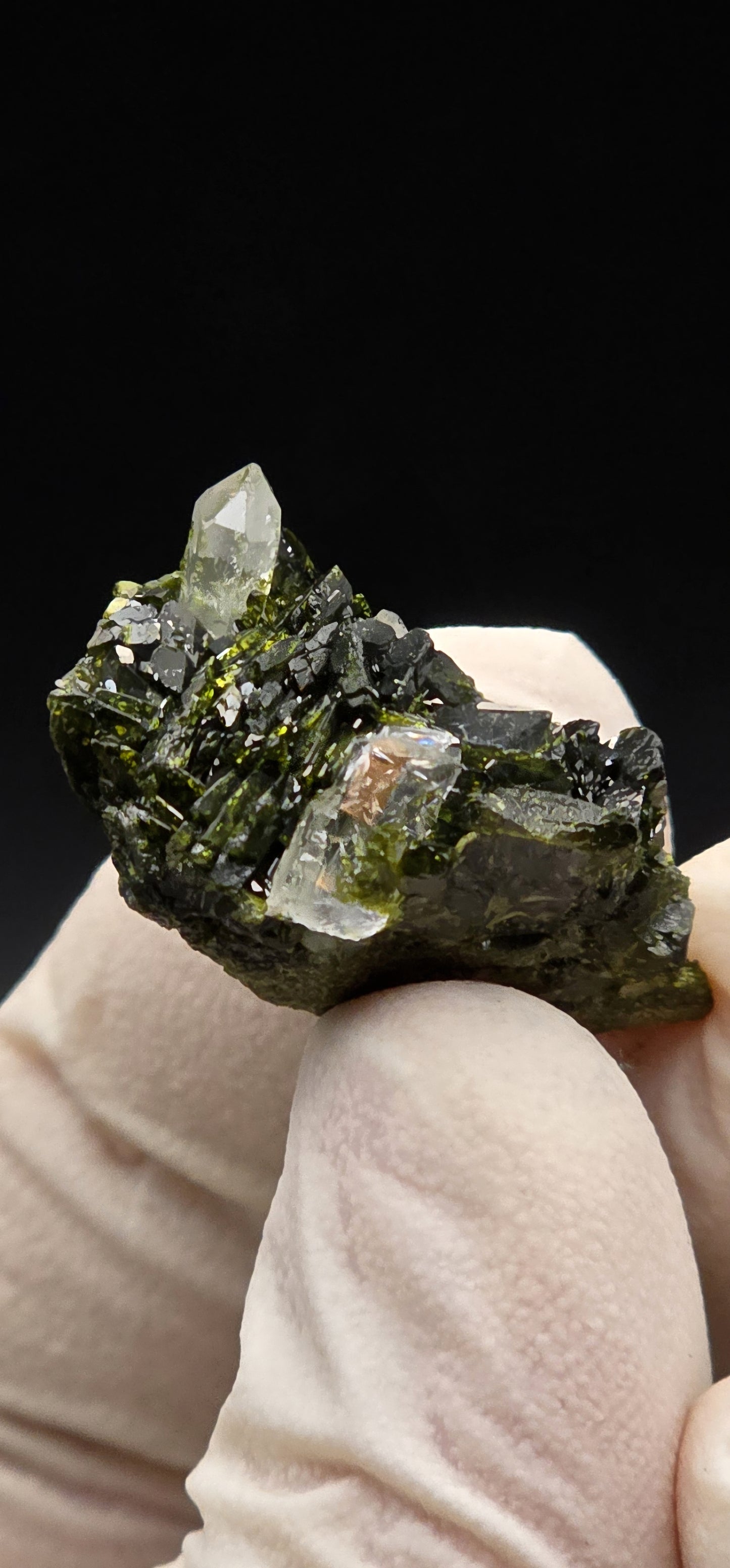 Brazilian S7 Quartz on Epidote Matrix Button!