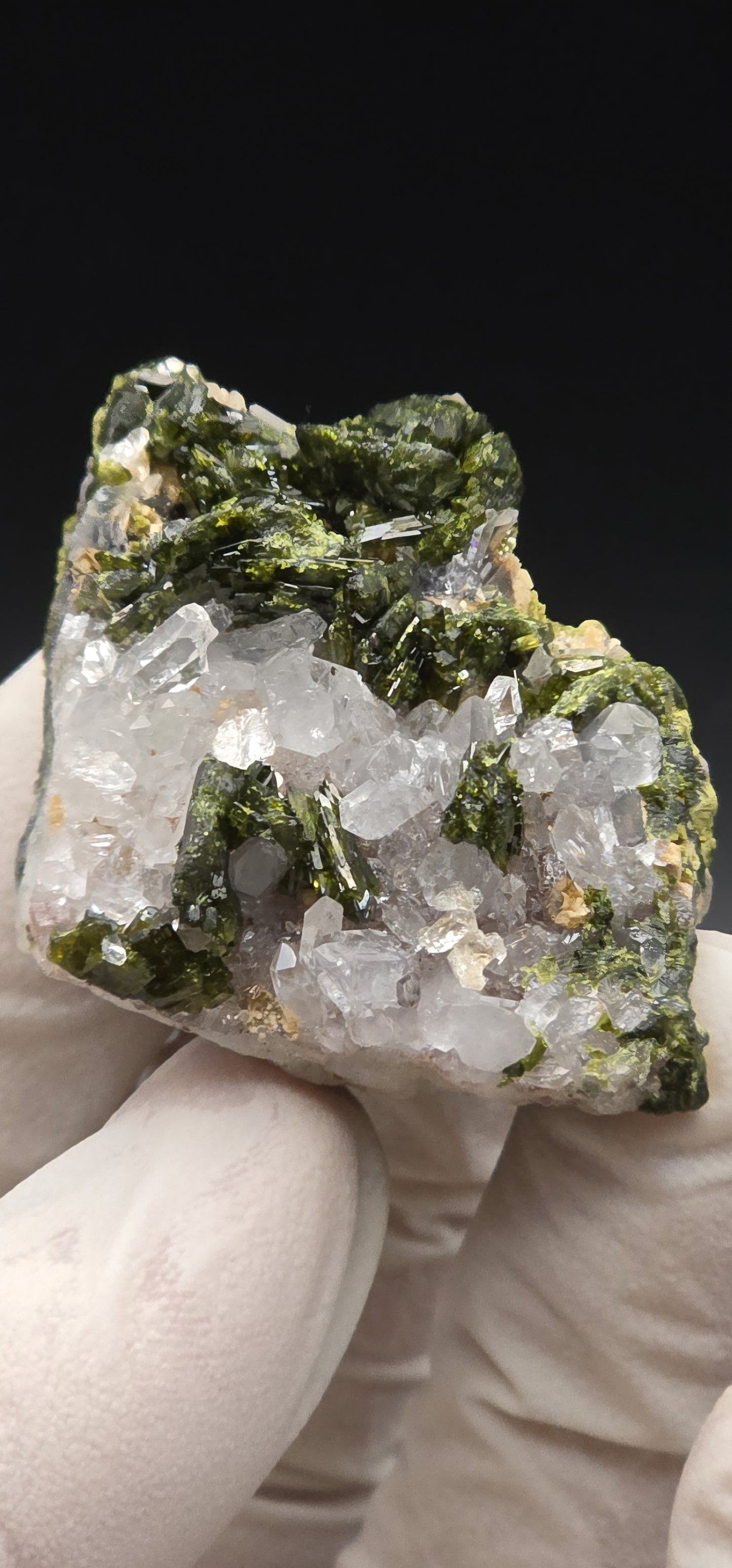 Brazilian Super Seven Quartz w/ Stunning Epidote Blades!