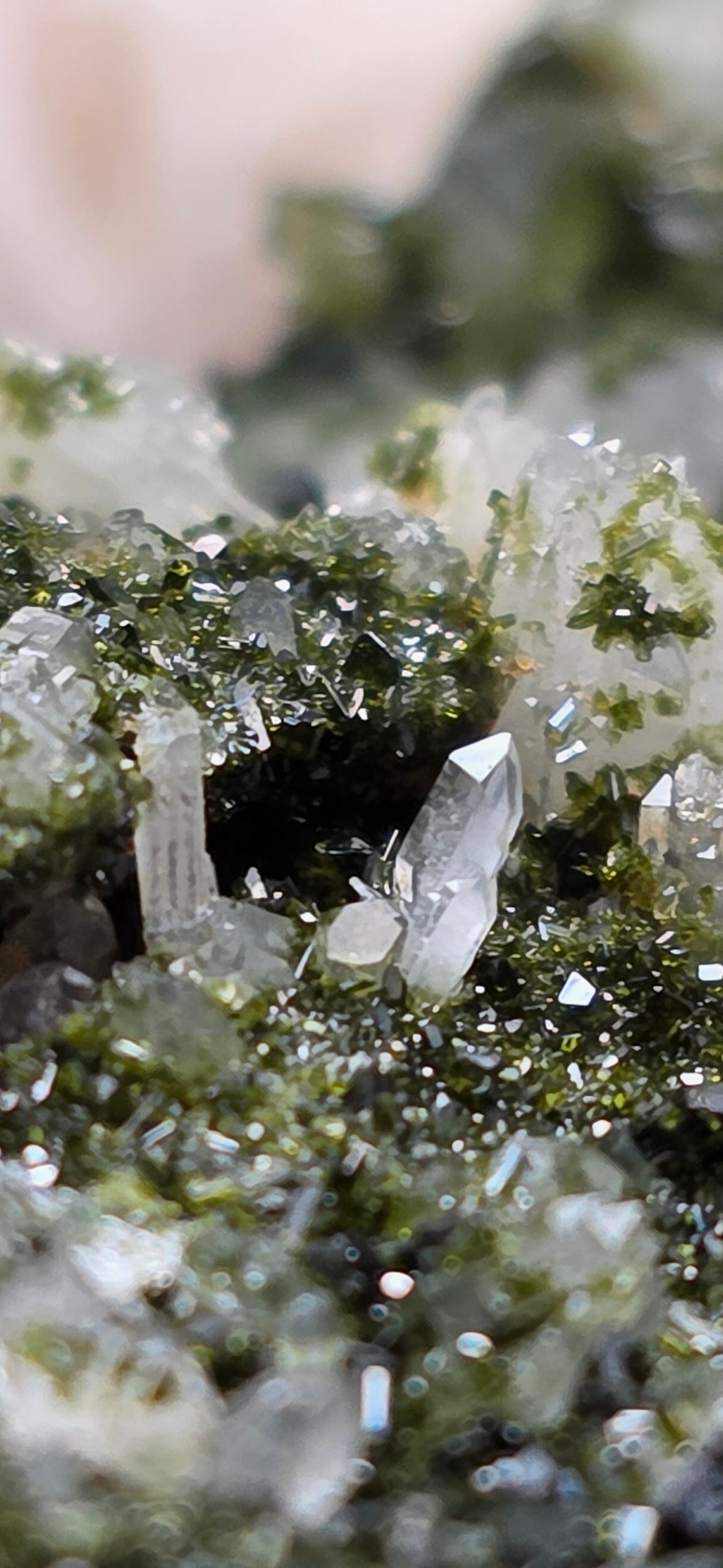 Breathtaking Coderite Quartz on Epidote Matrix!