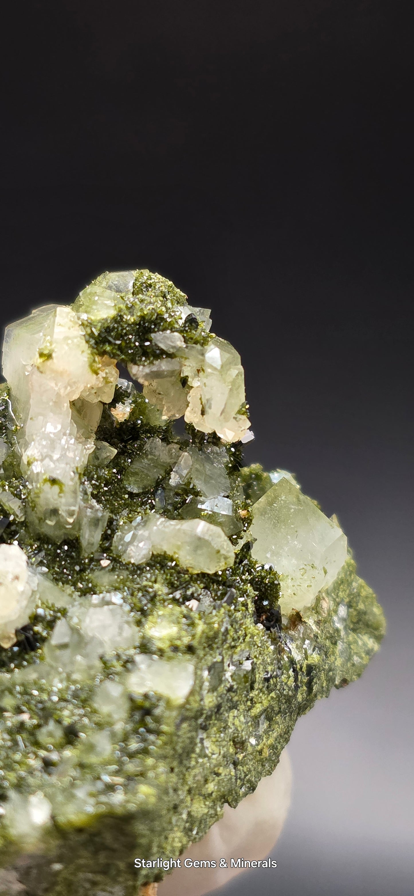 Breathtaking Coderite Quartz on Epidote Matrix!