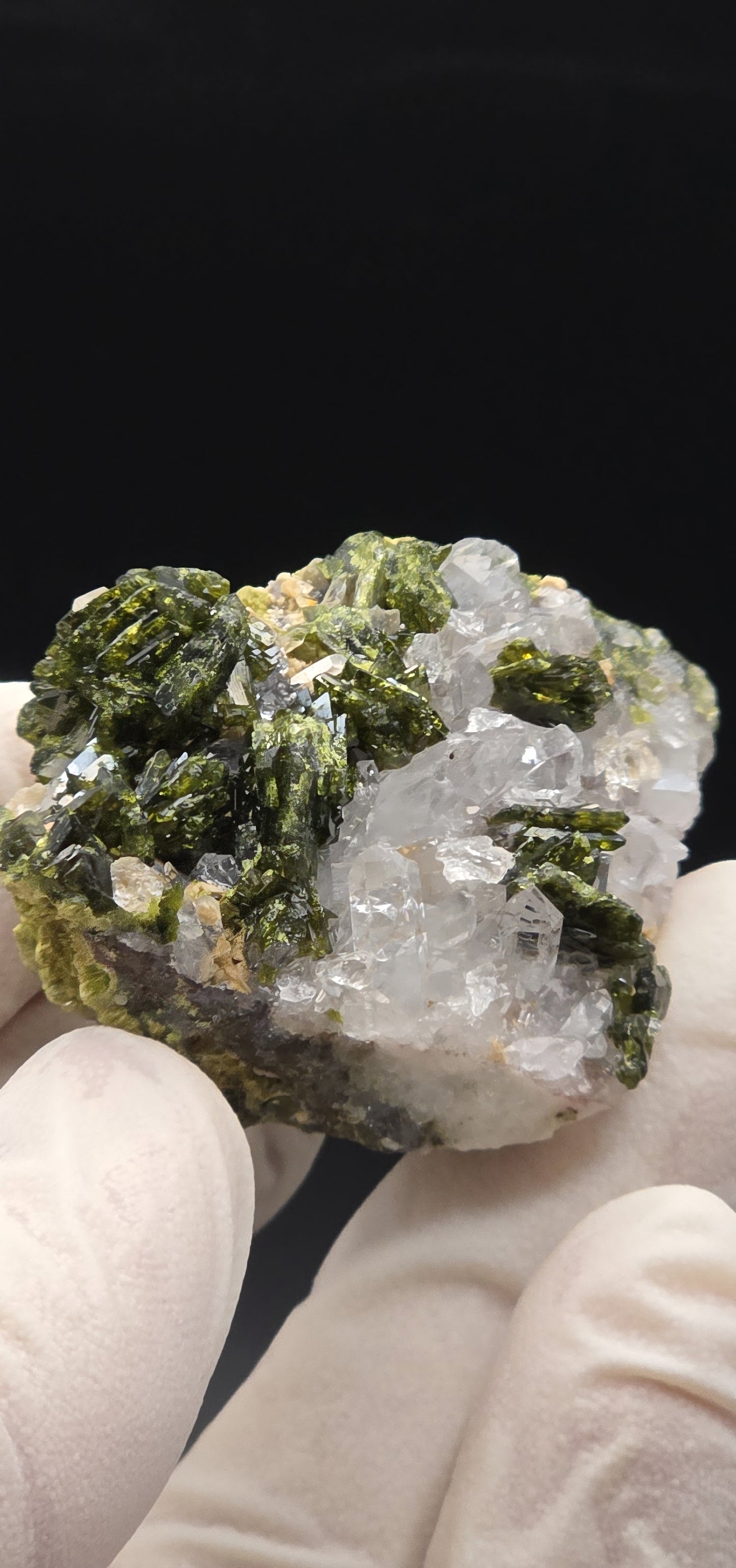 Brazilian Super Seven Quartz w/ Stunning Epidote Blades!