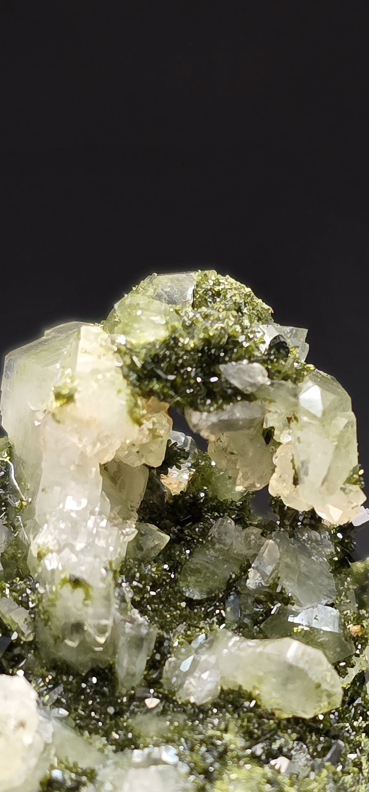 Breathtaking Coderite Quartz on Epidote Matrix!