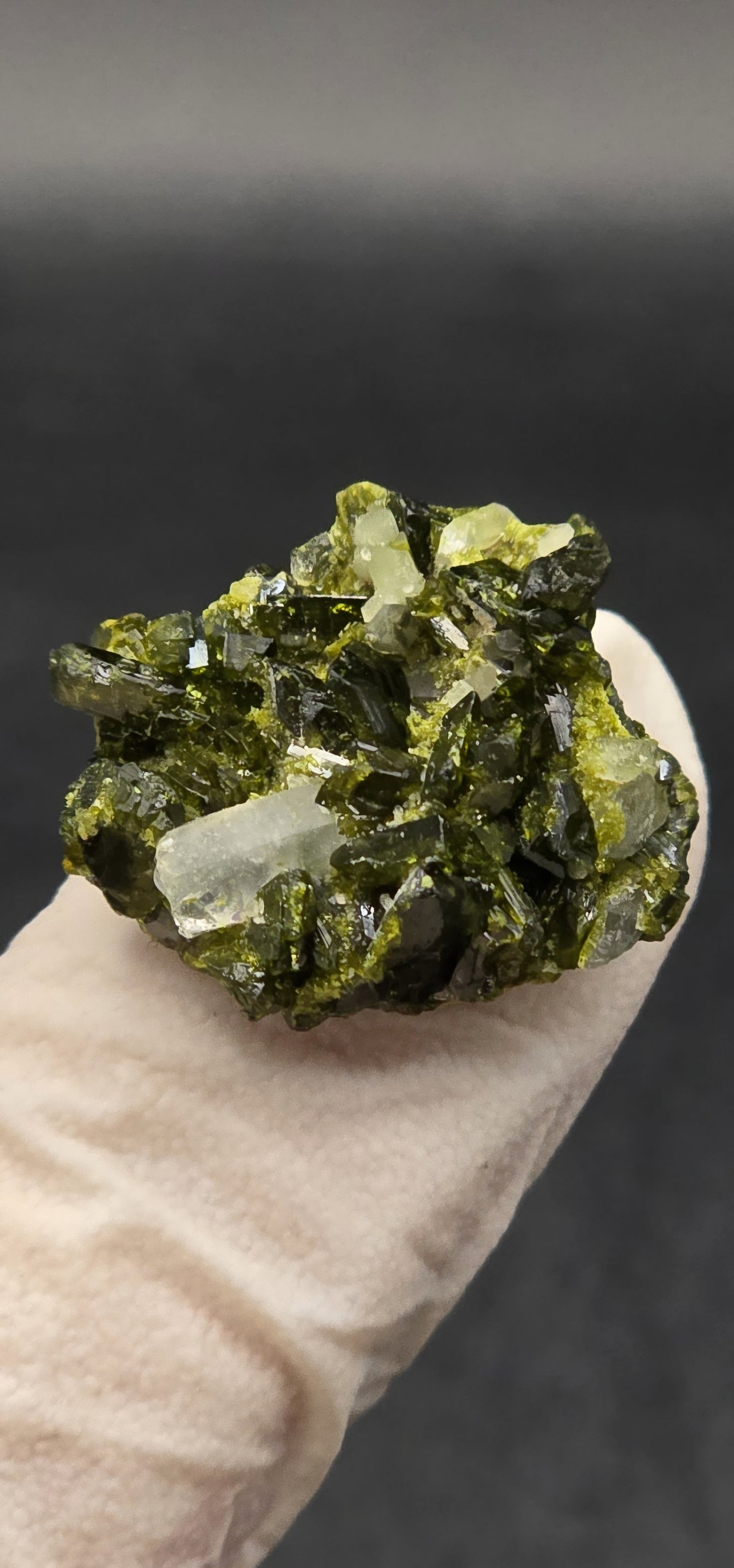 Mini Brazilian S7 Quartz on Epidote Matrix, Button!