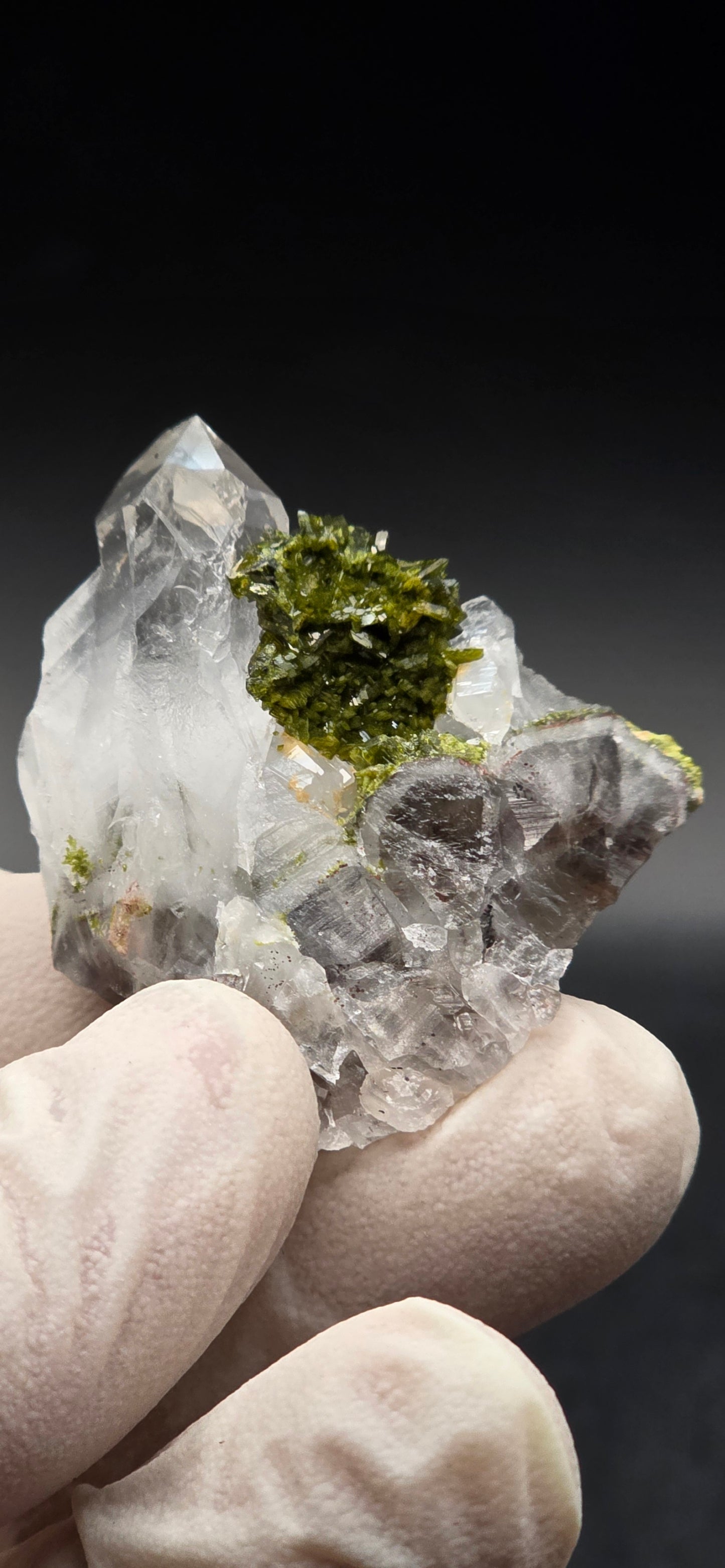 Brazilian Epidote Bloom on Key S7 Phantom Quartz Matrix!!