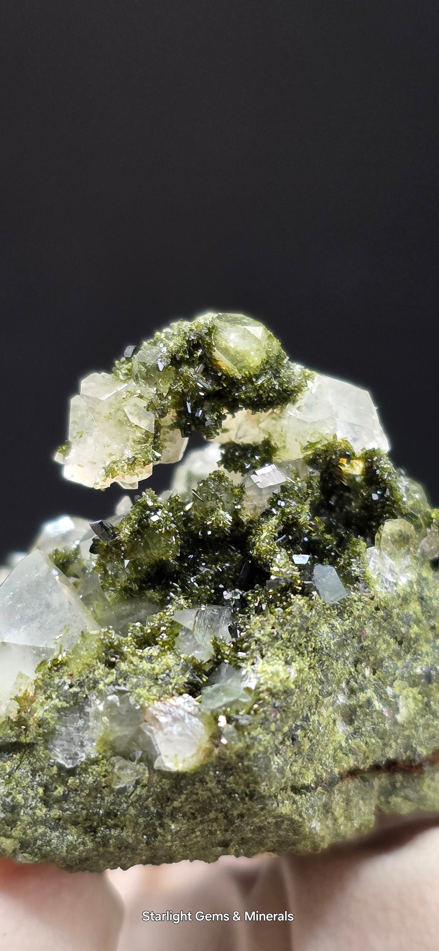 Breathtaking Coderite Quartz on Epidote Matrix!