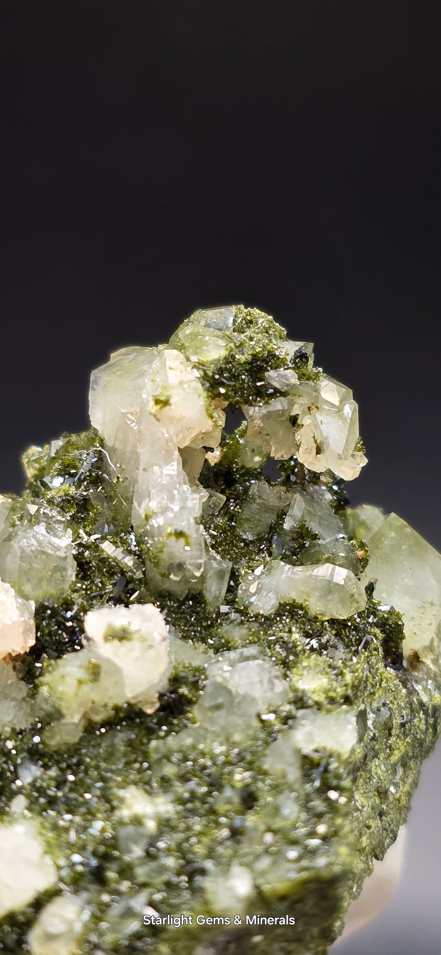 Breathtaking Coderite Quartz on Epidote Matrix!