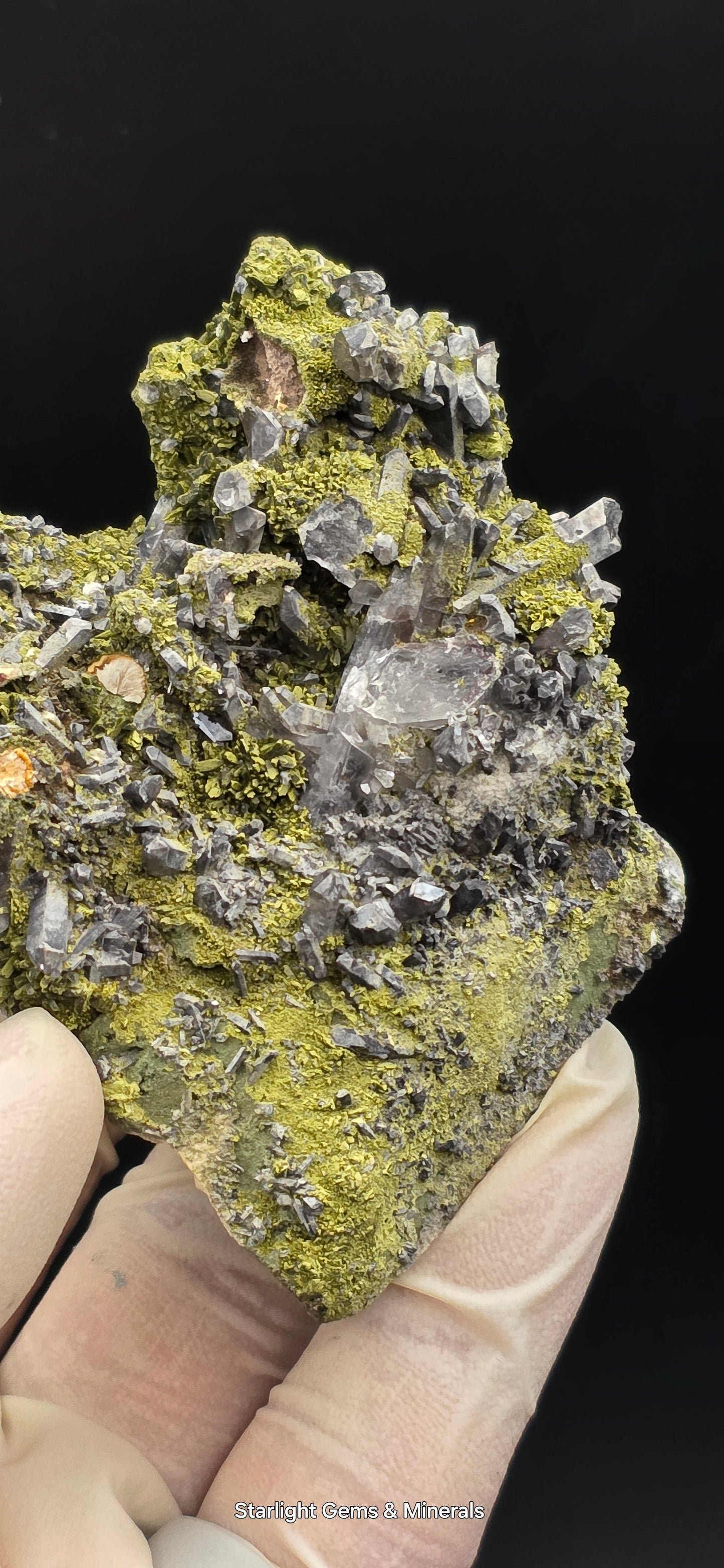 Epidote and Chlorite Included Brazilian Super Seven Quartz Matrix Forest!