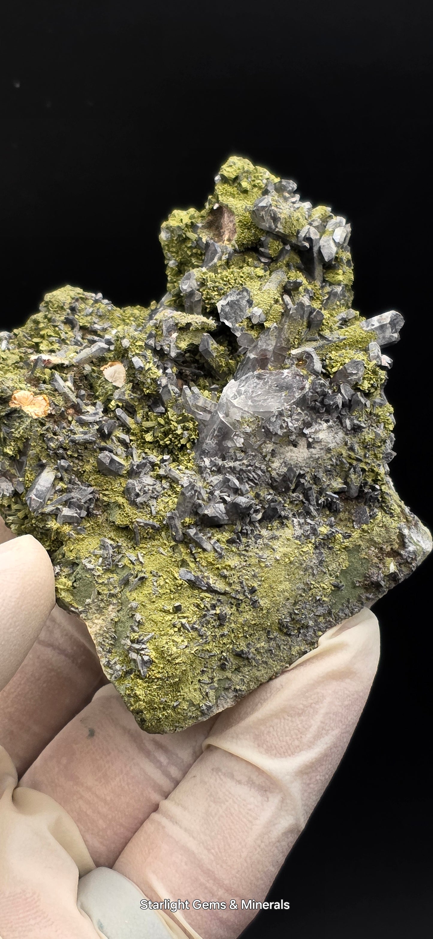 Epidote and Chlorite Included Brazilian Super Seven Quartz Matrix Forest!