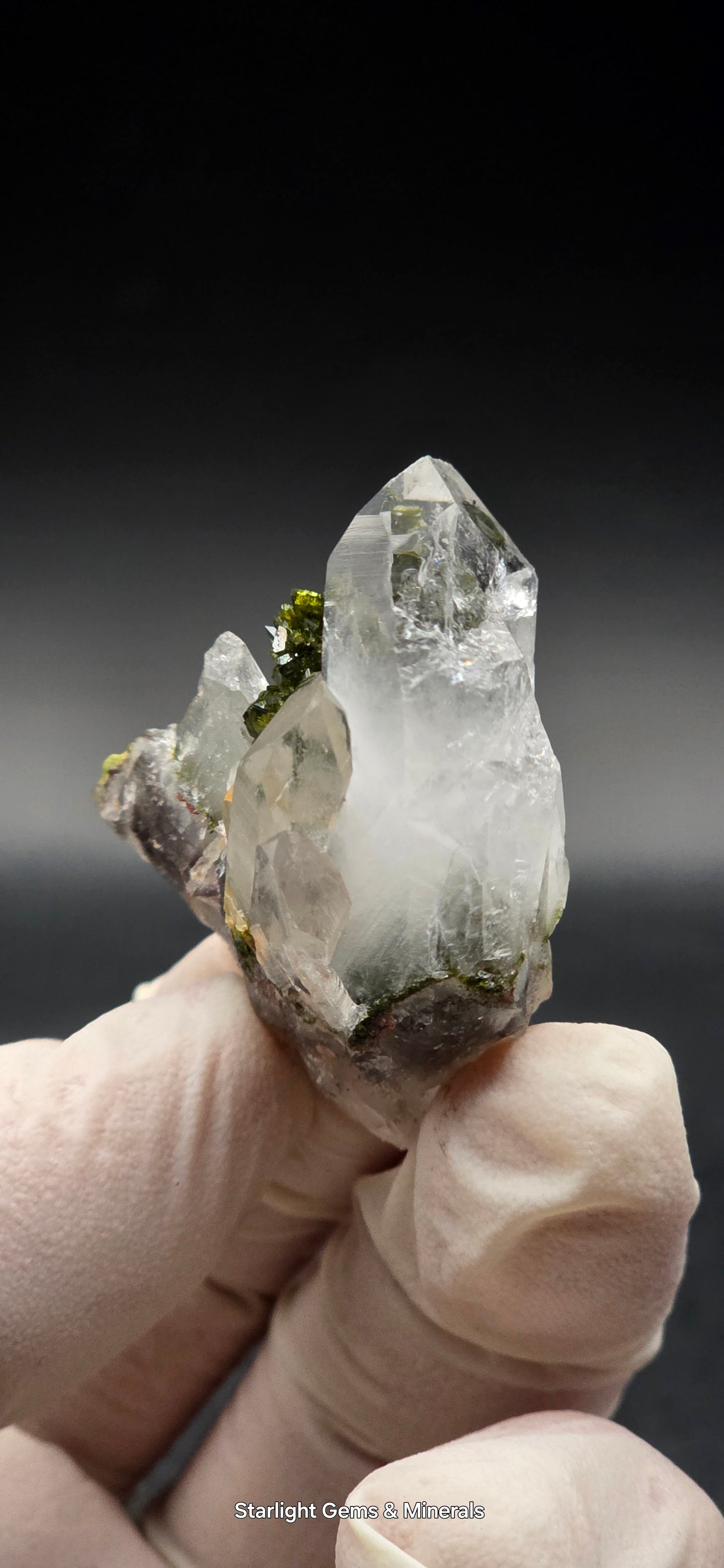 Brazilian Epidote Bloom on Key S7 Phantom Quartz Matrix!!