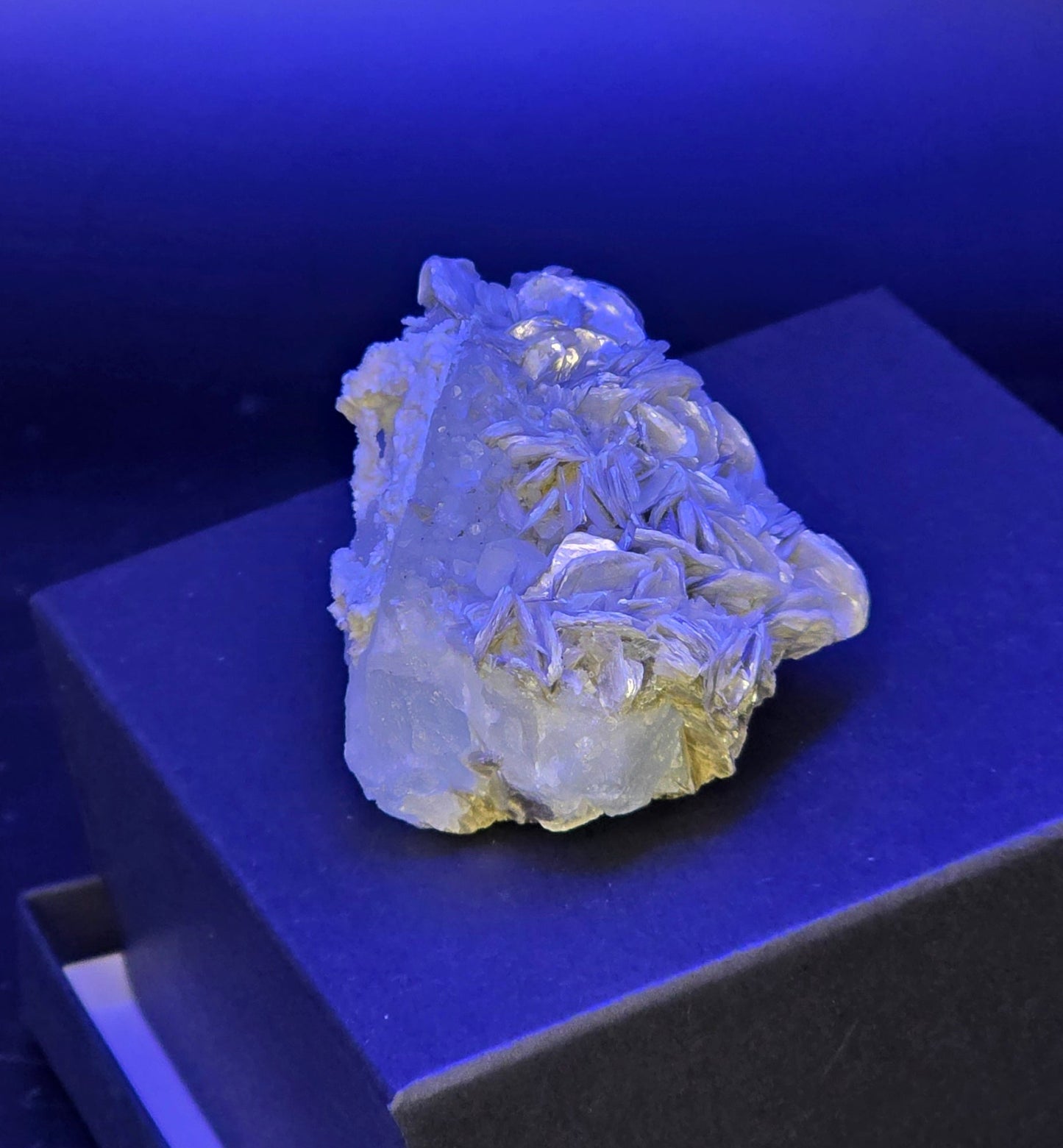 Erongo Region Namibian Aquamarine Matrix w/ Beautiful Micha, Quartz, Stunning UV/PL Calcite Coating, and Fluorite.As the primary crystals