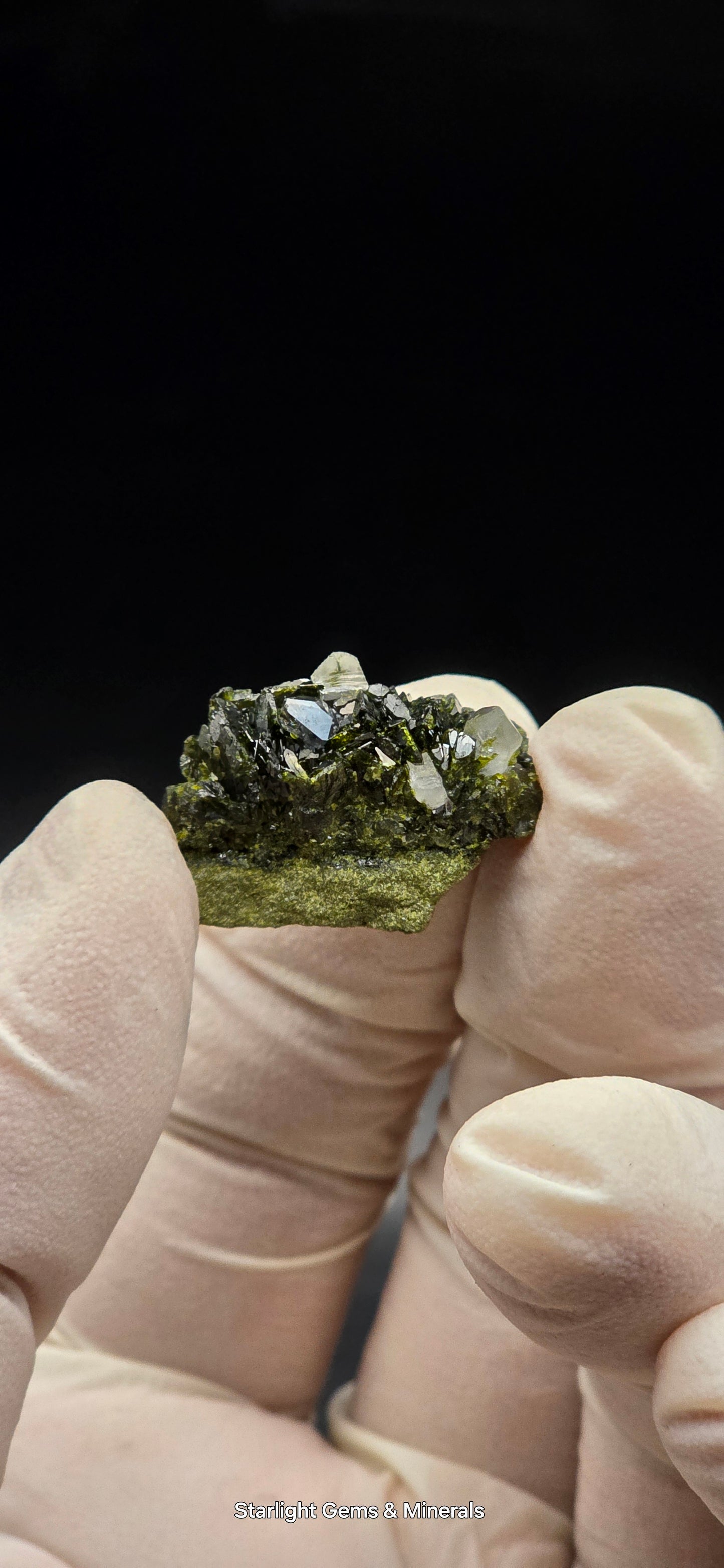 Brazilian S7 Quartz on Epidote Matrix Button!