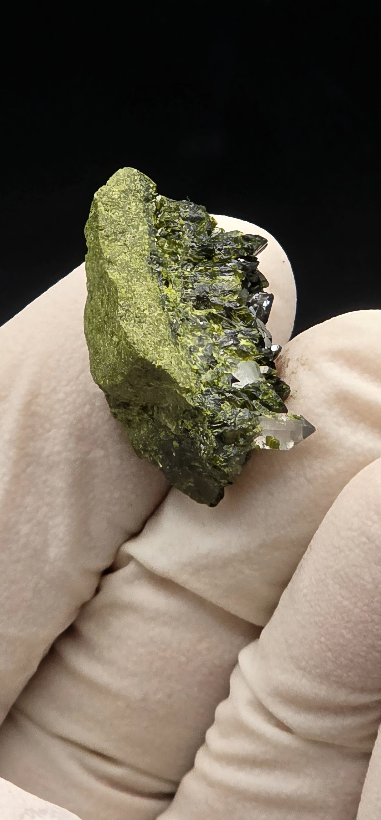 Brazilian S7 Quartz on Epidote Matrix Button!